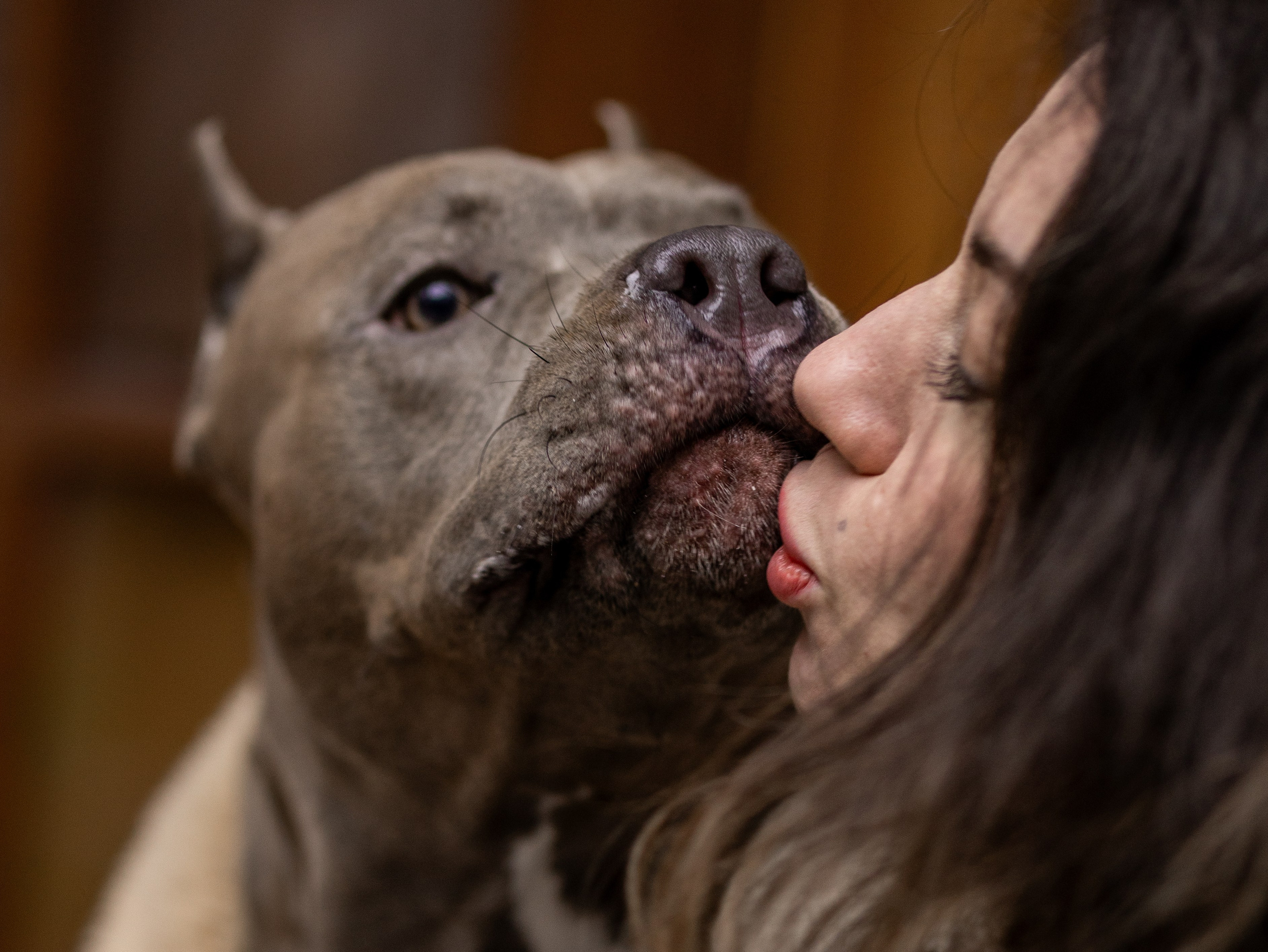 Зевс и Мария. Фотограф-анималист в Москве Кириллова Татьяна