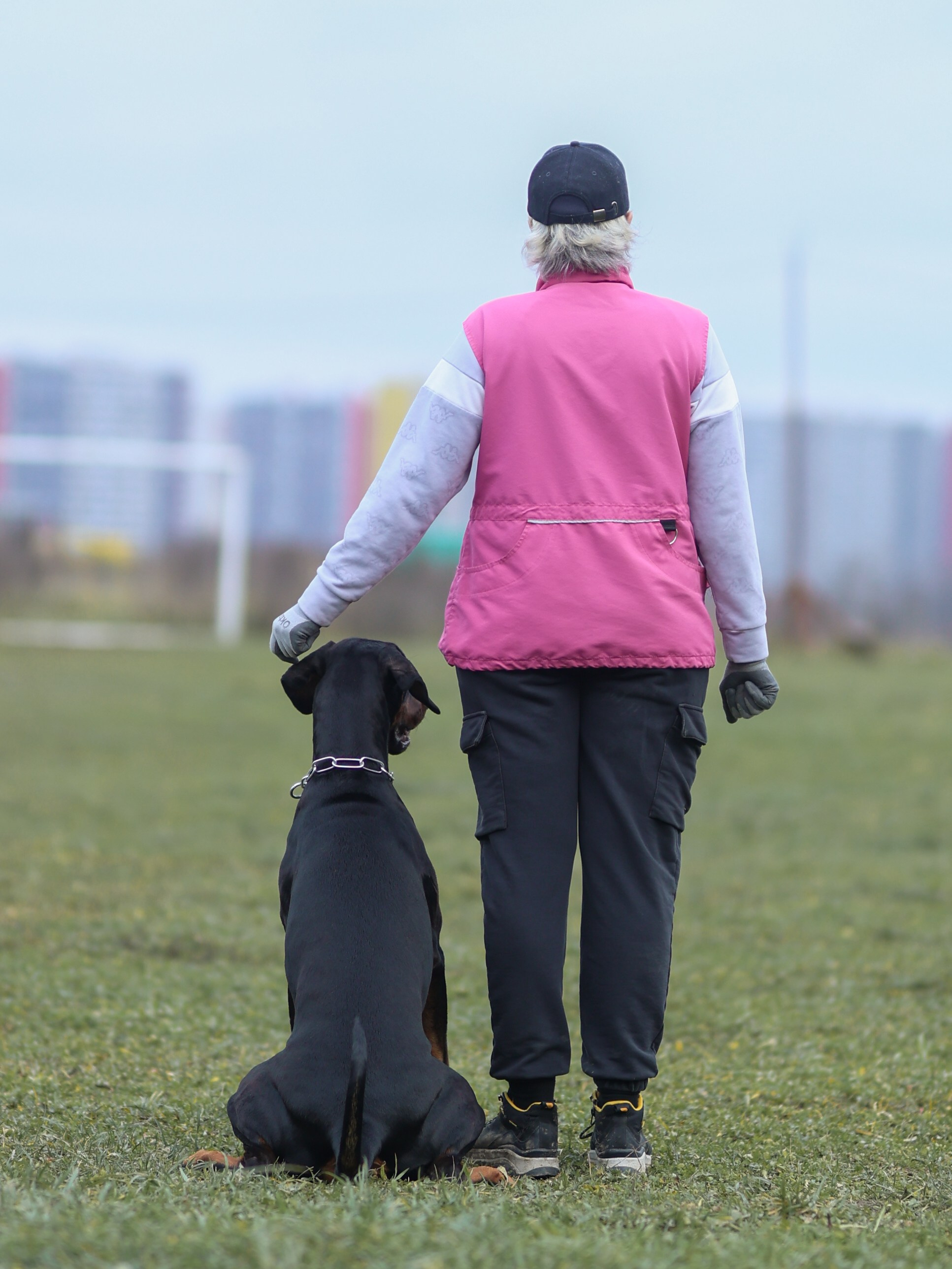 Соревнования BH. Фотограф-анималист в Москве Кириллова Татьяна