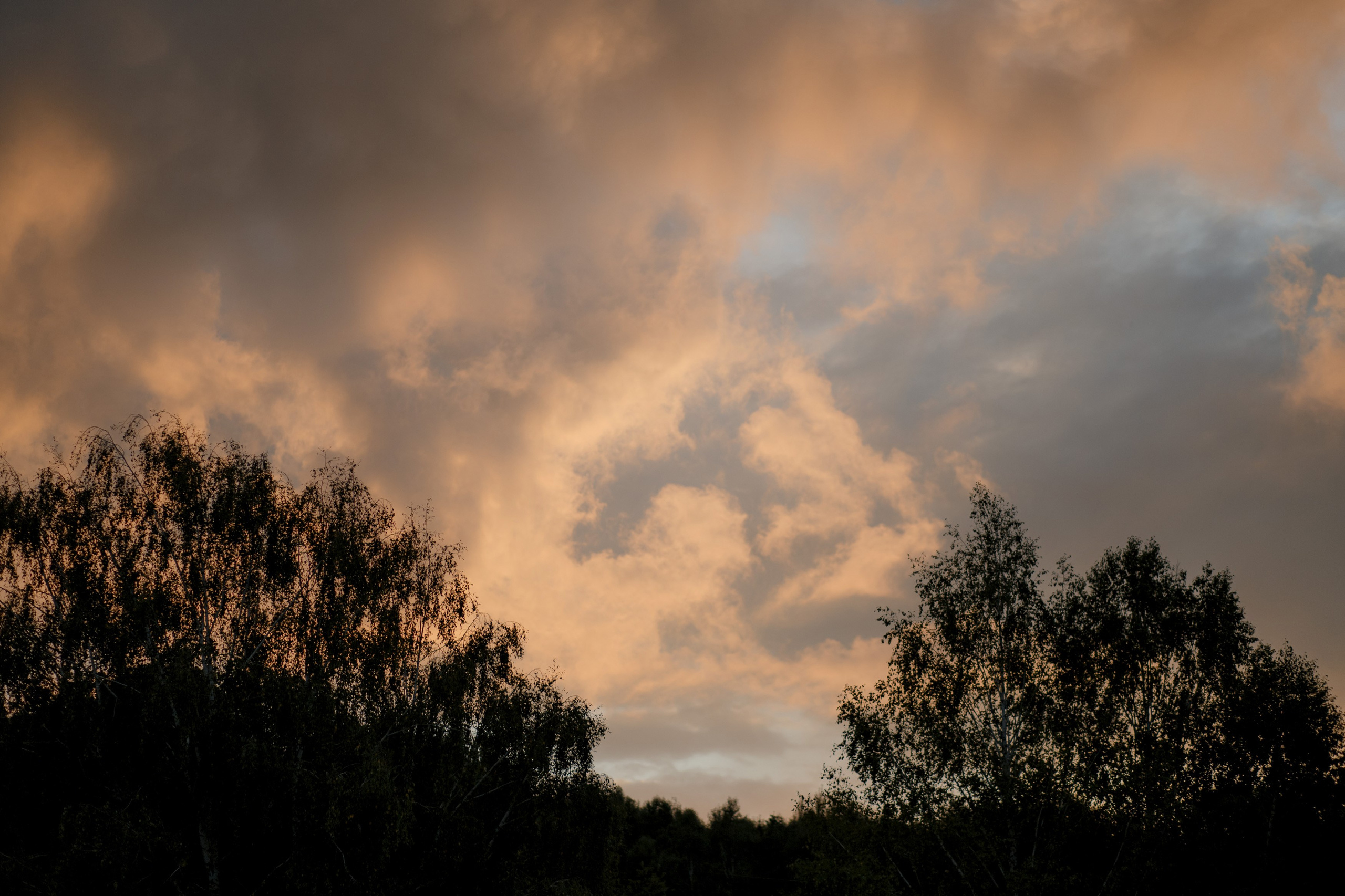 Aigiz & Rozalina. Оксана Вахидова Фотограф Кумертау, Уфа, Мелеуз, Салават