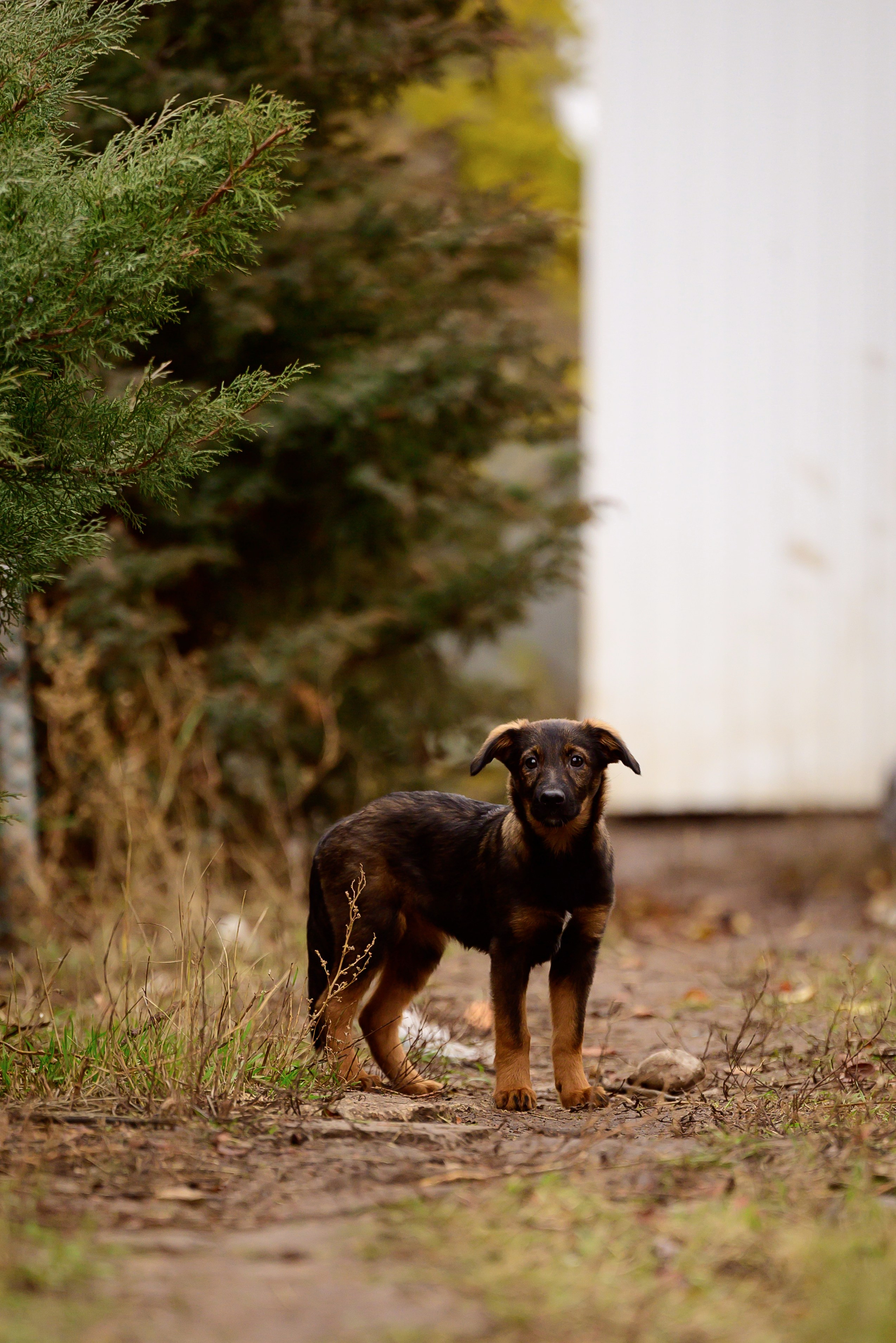 Круассанчики. Мила Астахова