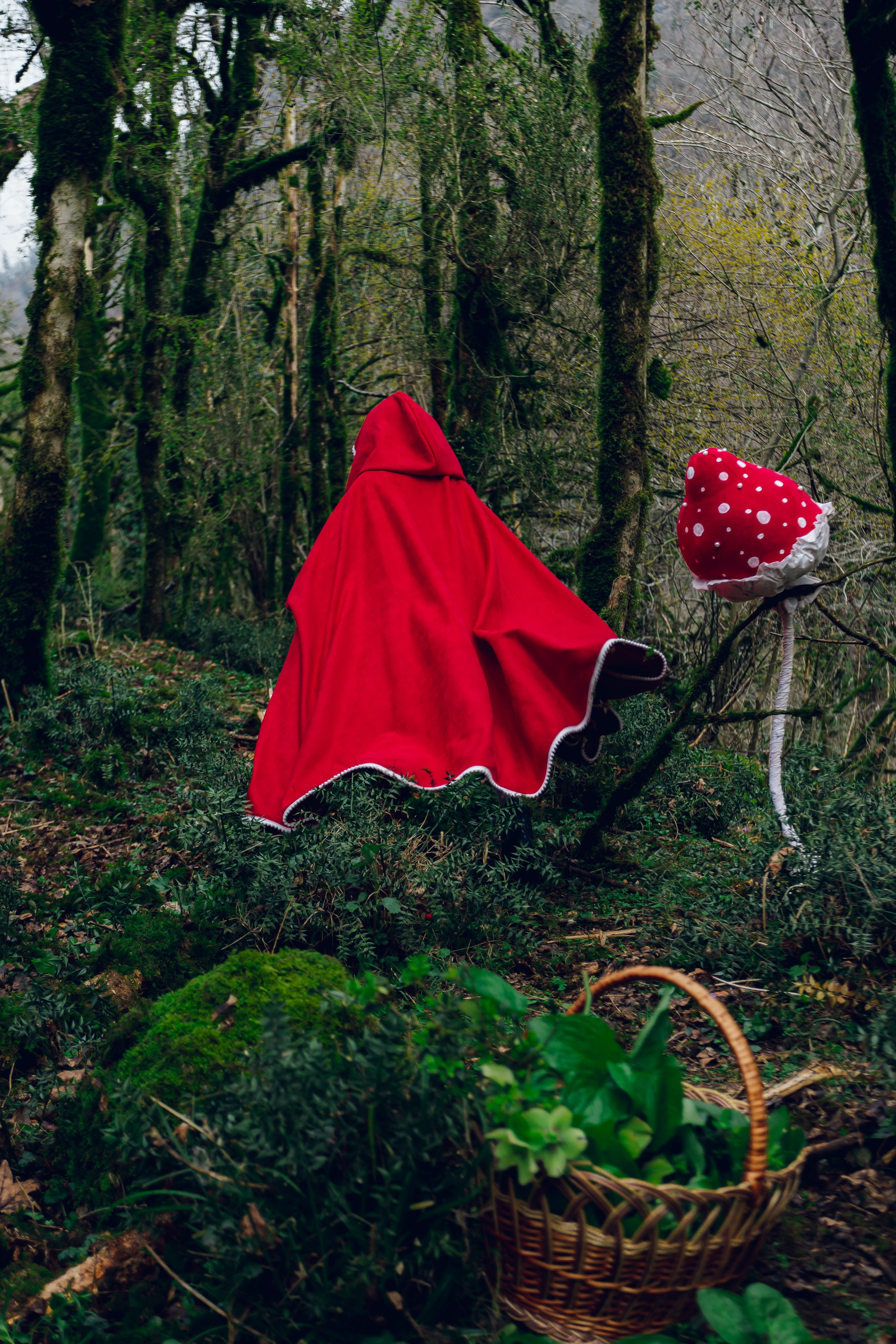 Самшитовая роща. Семейный и художественный фотограф в Тюмени Юлия Логинова