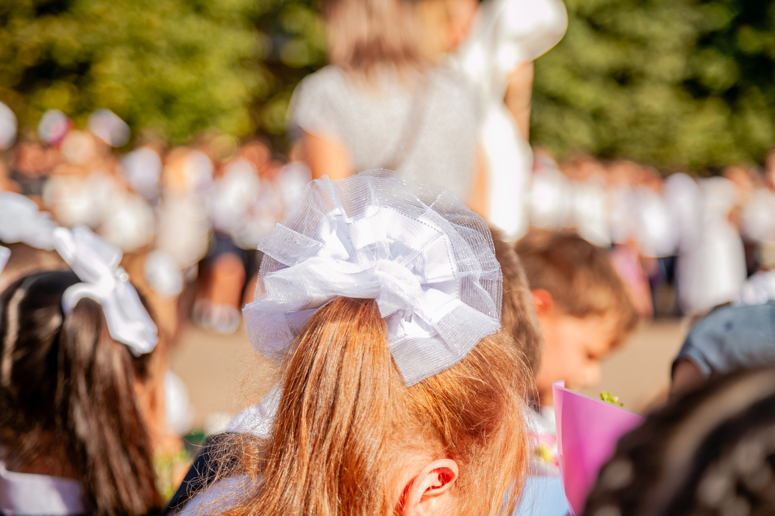 1 сентября линейка. Свадебный и семейный фотограф в Армавире