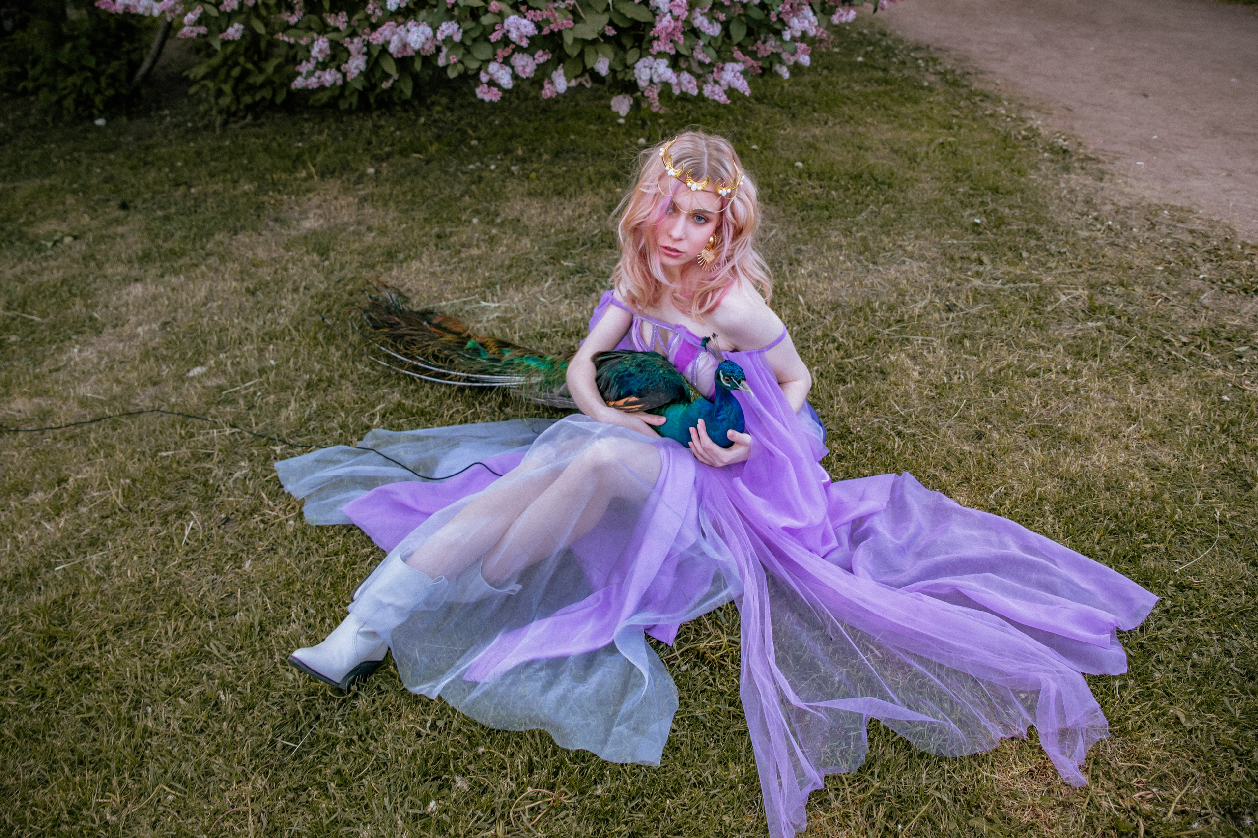 Павлин. Elena Sova — семейный и женский фотограф в Санкт-Петербурге