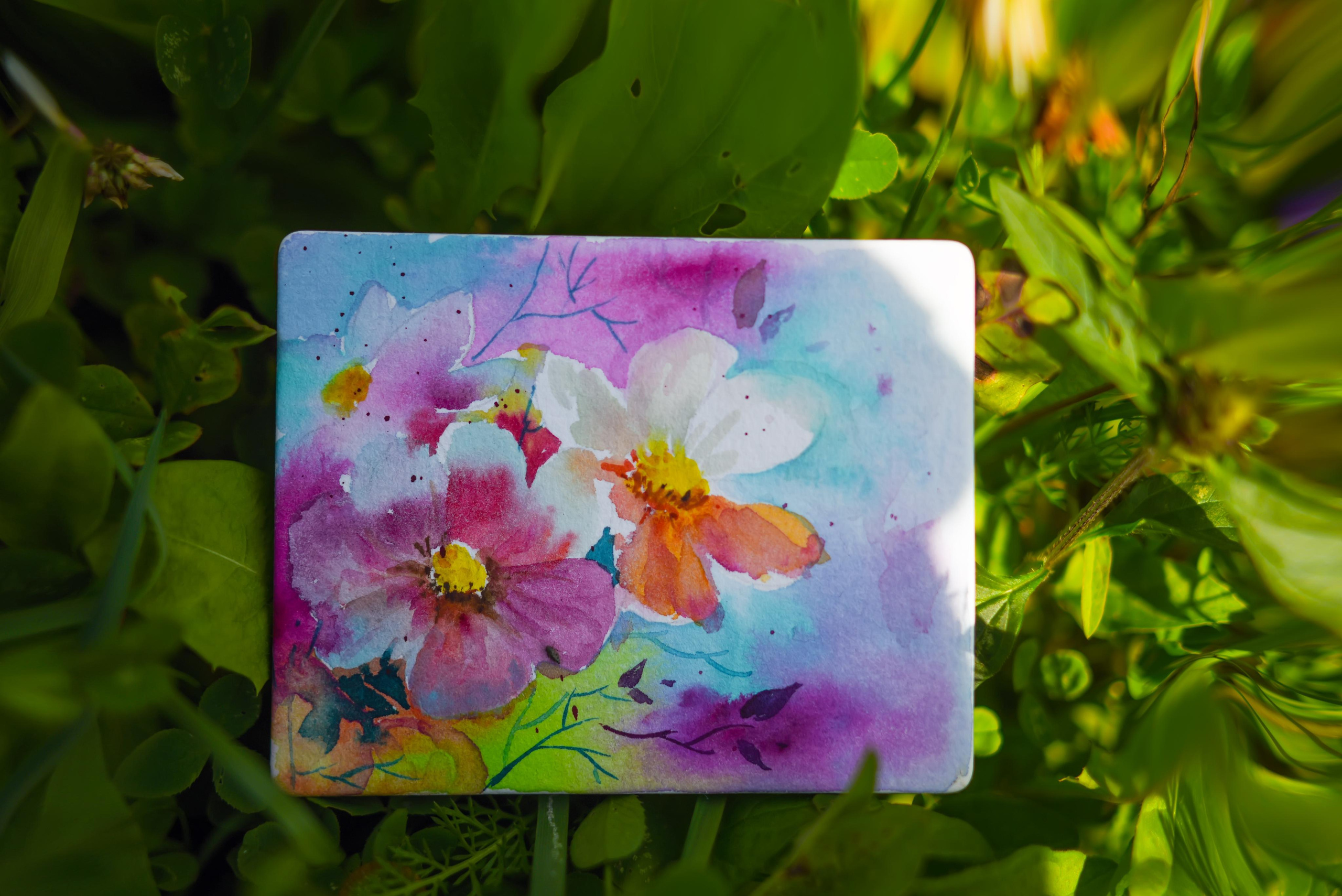 Живопись. Фотограф в Санкт-Петербурге