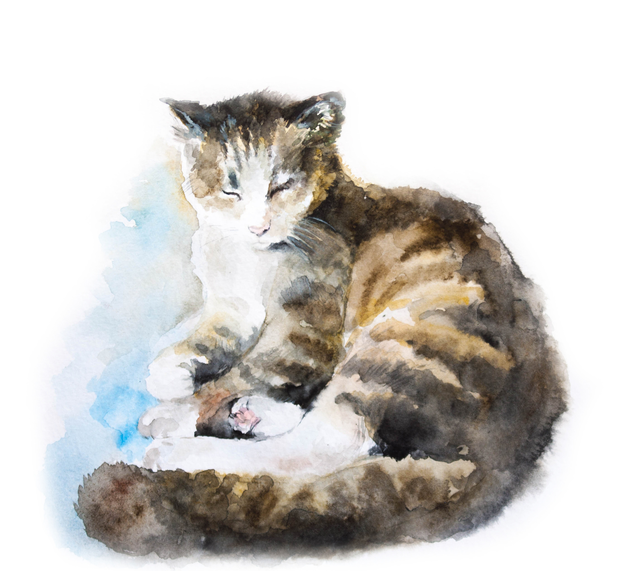 Живопись. Фотограф в Санкт-Петербурге