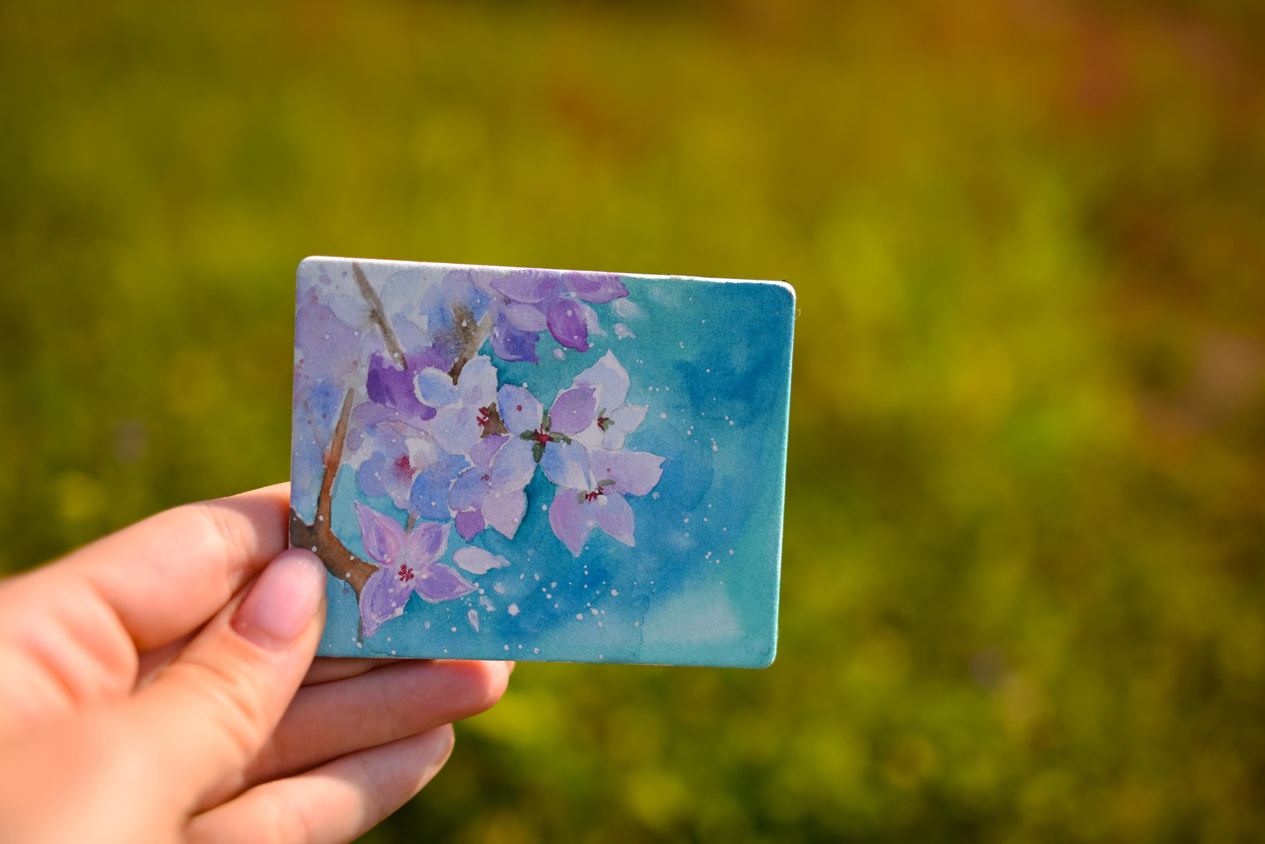 Живопись. Фотограф в Санкт-Петербурге