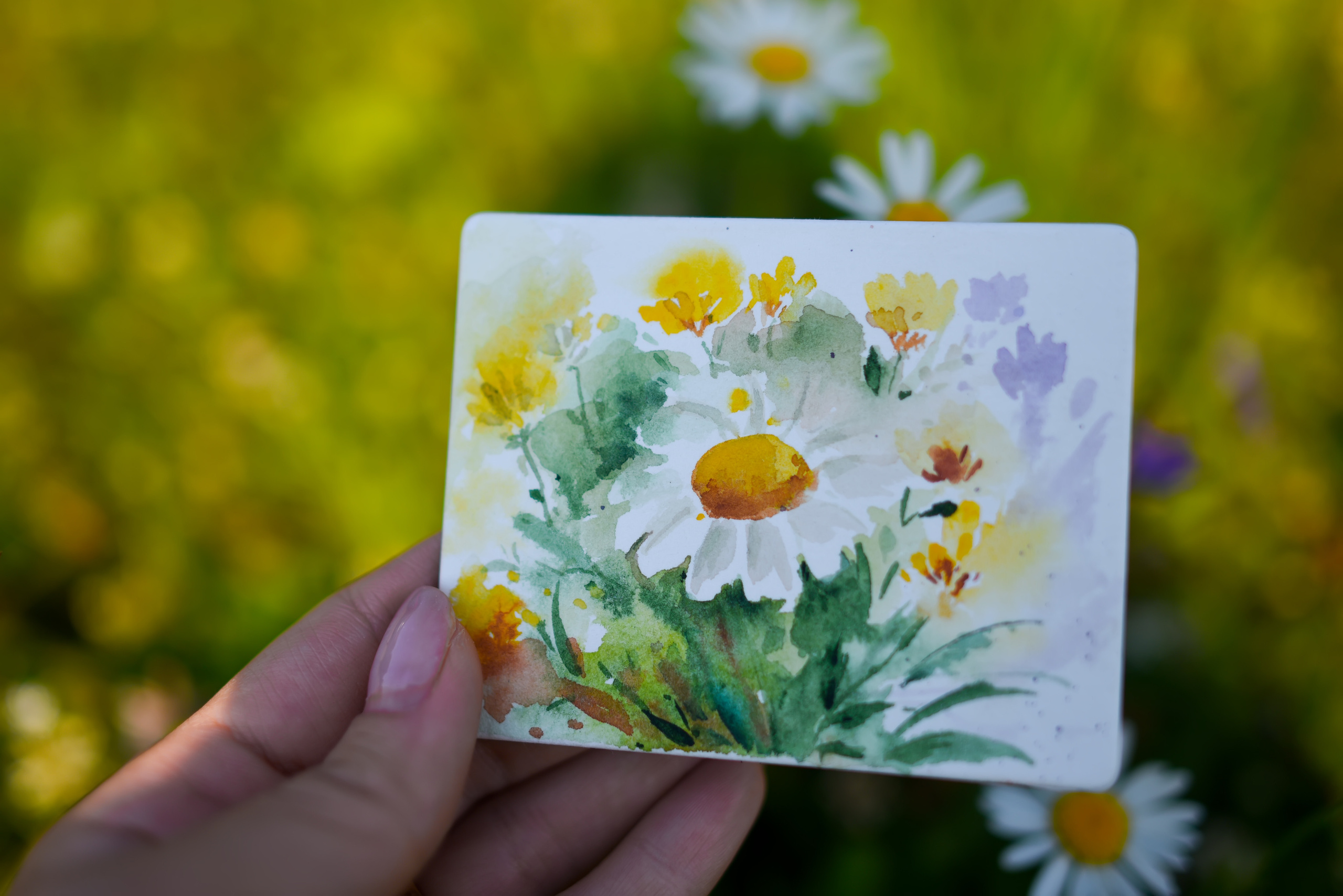 Живопись. Фотограф в Санкт-Петербурге