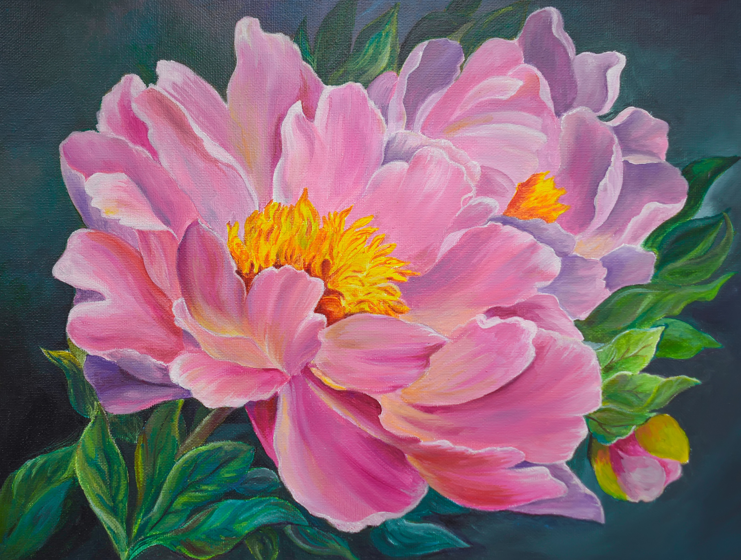 Живопись. Фотограф в Санкт-Петербурге