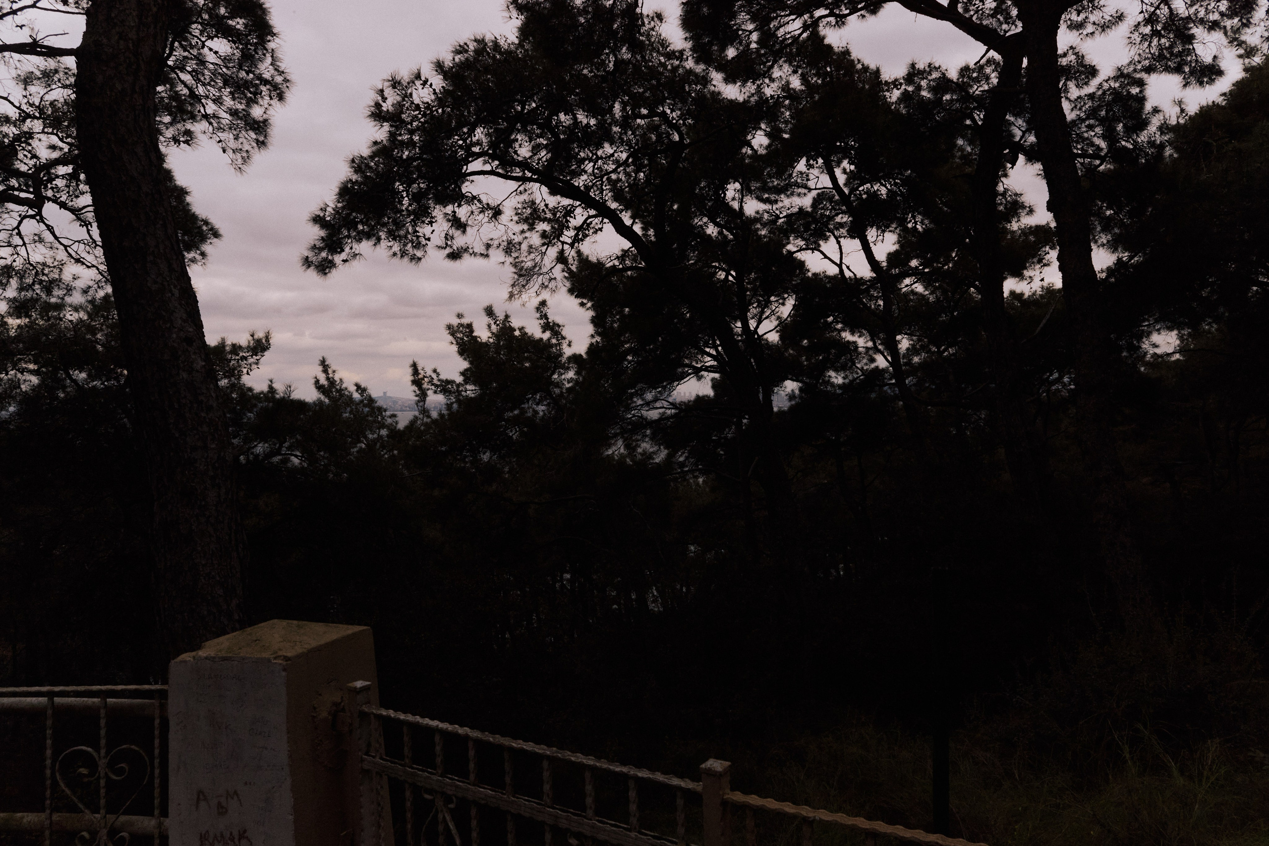 Улица горизонтальная. Jorgis — фотограф в Хургаде / обучение фотографии