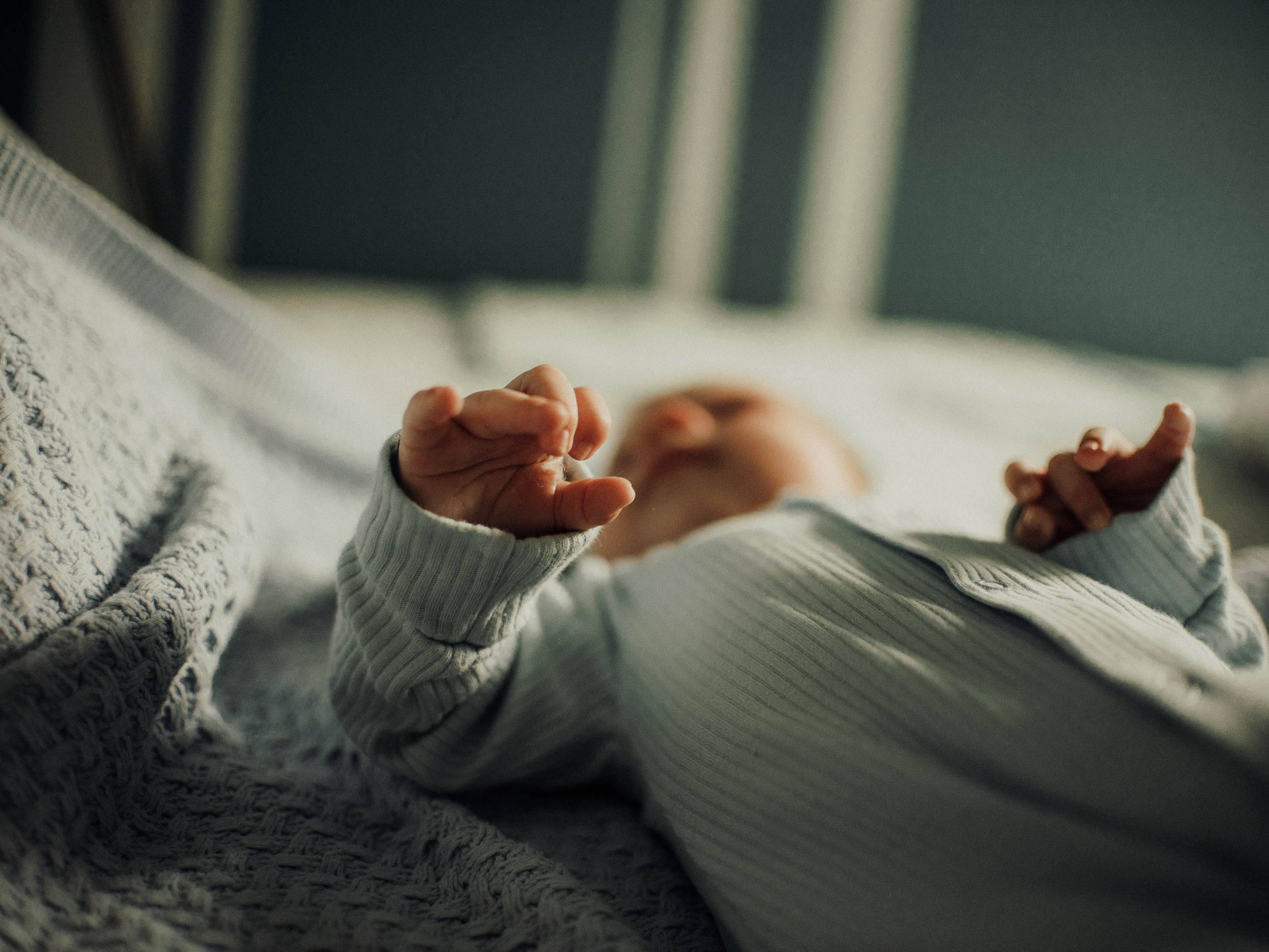 Домашняя фотоистория. Фотограф Любовь Подосенова Липецк|Воронеж