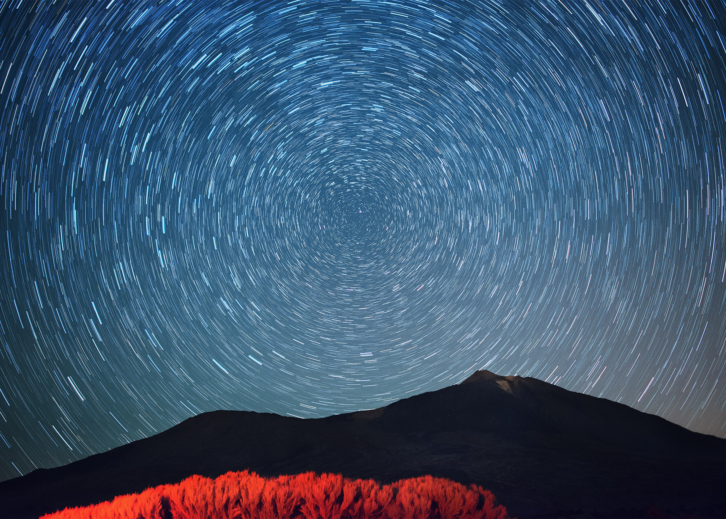 Sky full of stars. Фотограф в Санкт-Петербурге Мария Мельникова