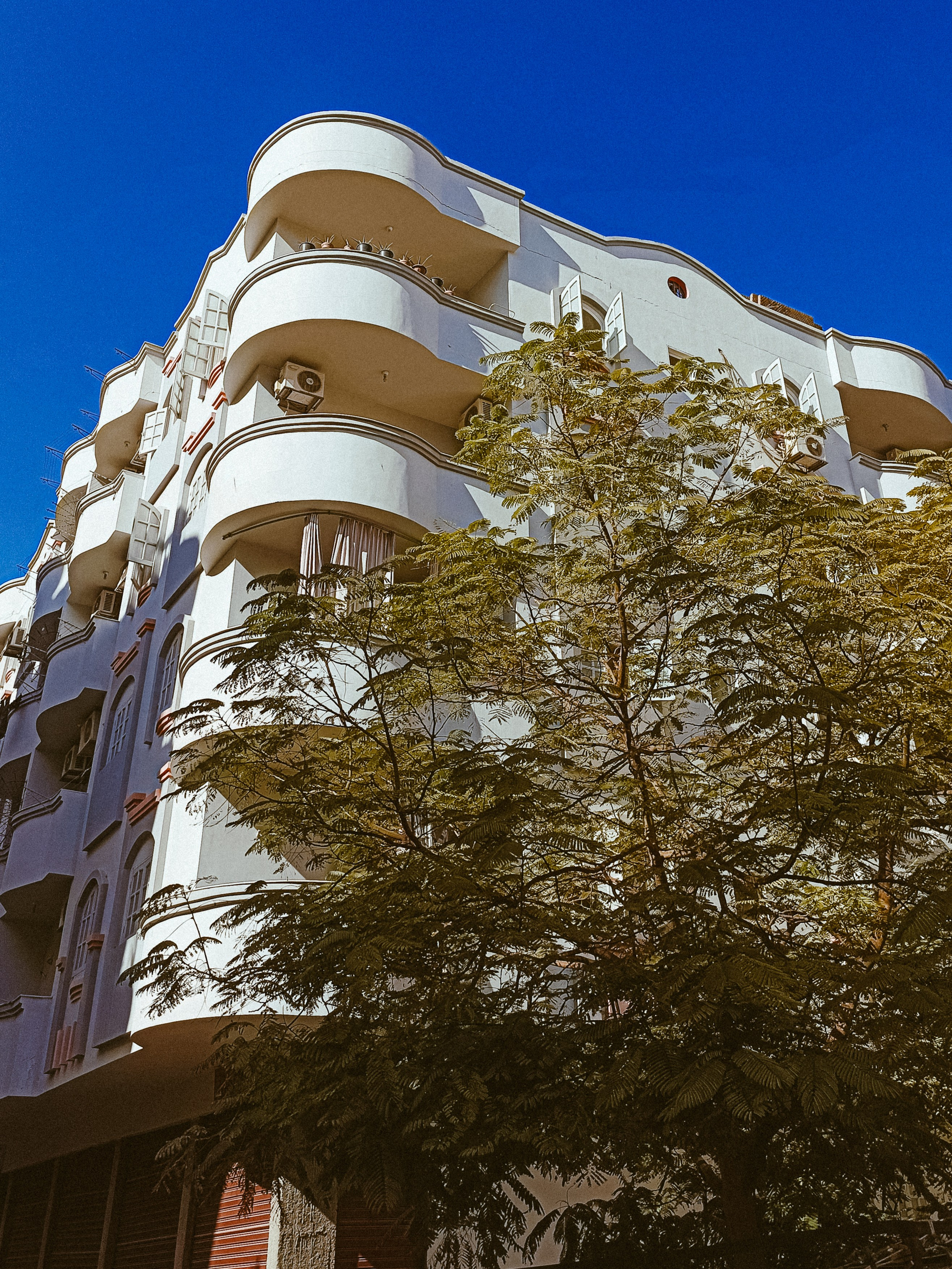 Мобильная. Jorgis — фотограф в Хургаде / обучение фотографии