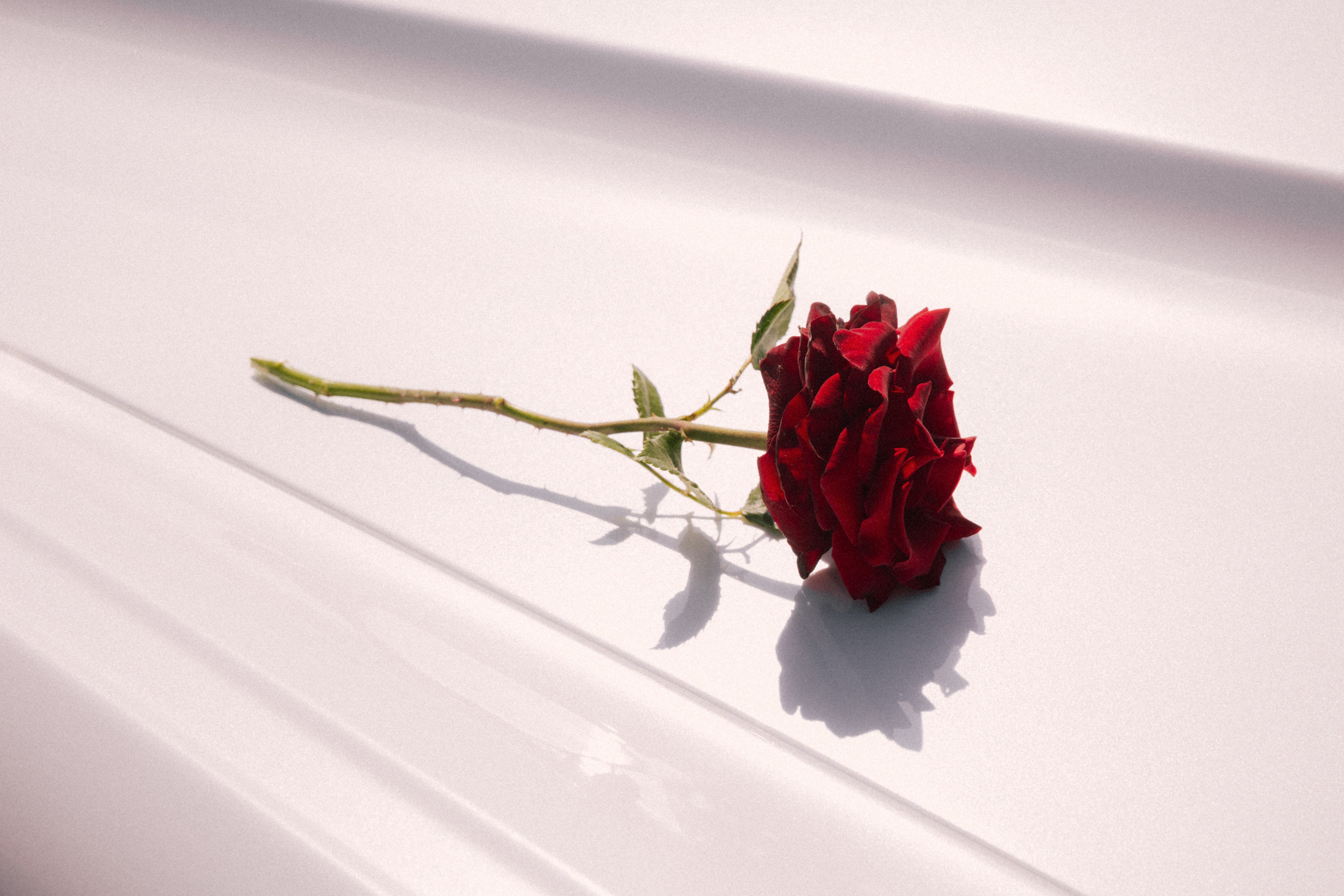 День невесты. Фотограф Краснодар Юлия Бураченко Свадьбы Репортаж Семейные Индивидуальные съемки