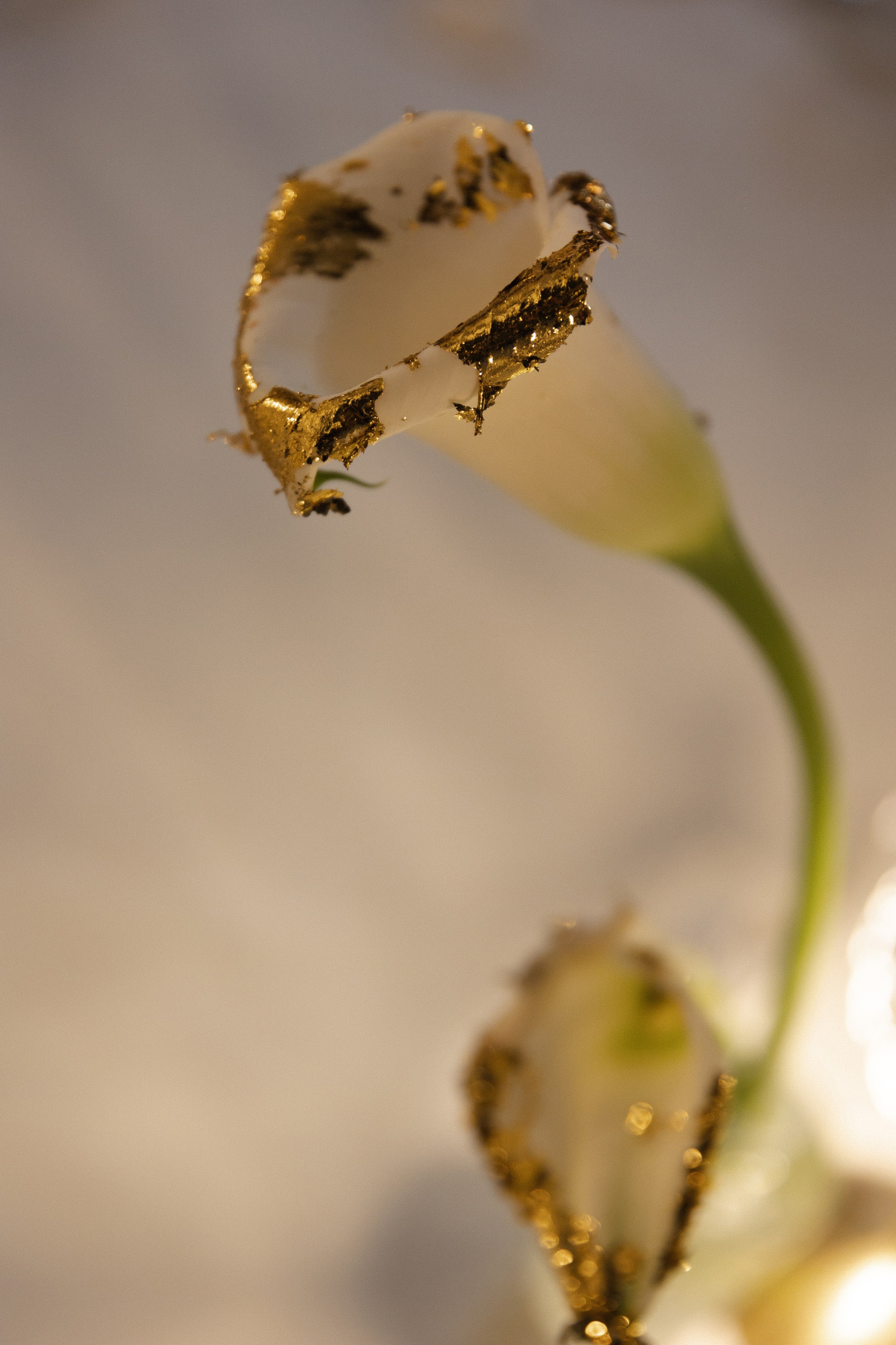 Виктор и Александра. Фотограф Тюмень Пушковская Кристина