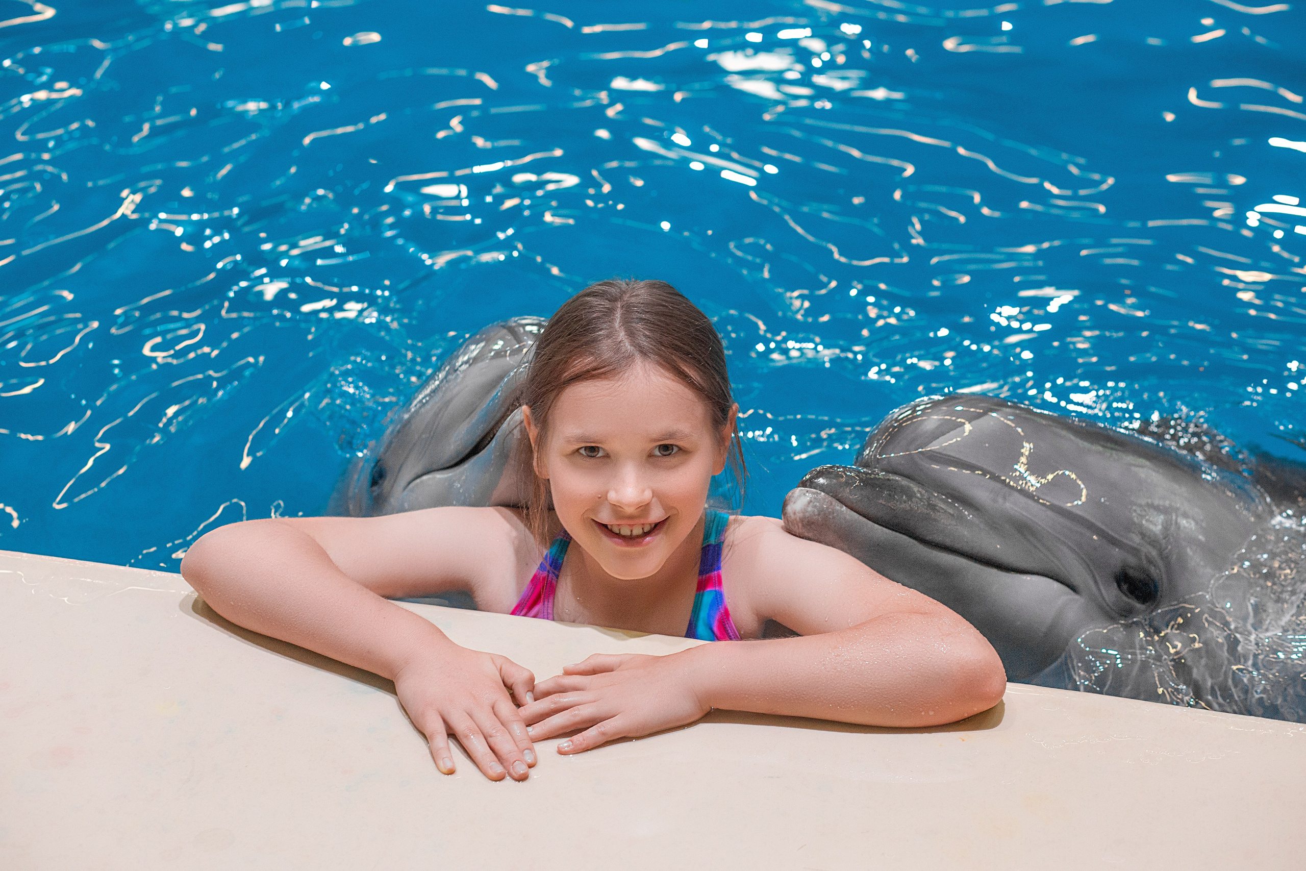 Фотосессия с дельфинами. Фотосессия с лошадьми в Нижнем Новгороде