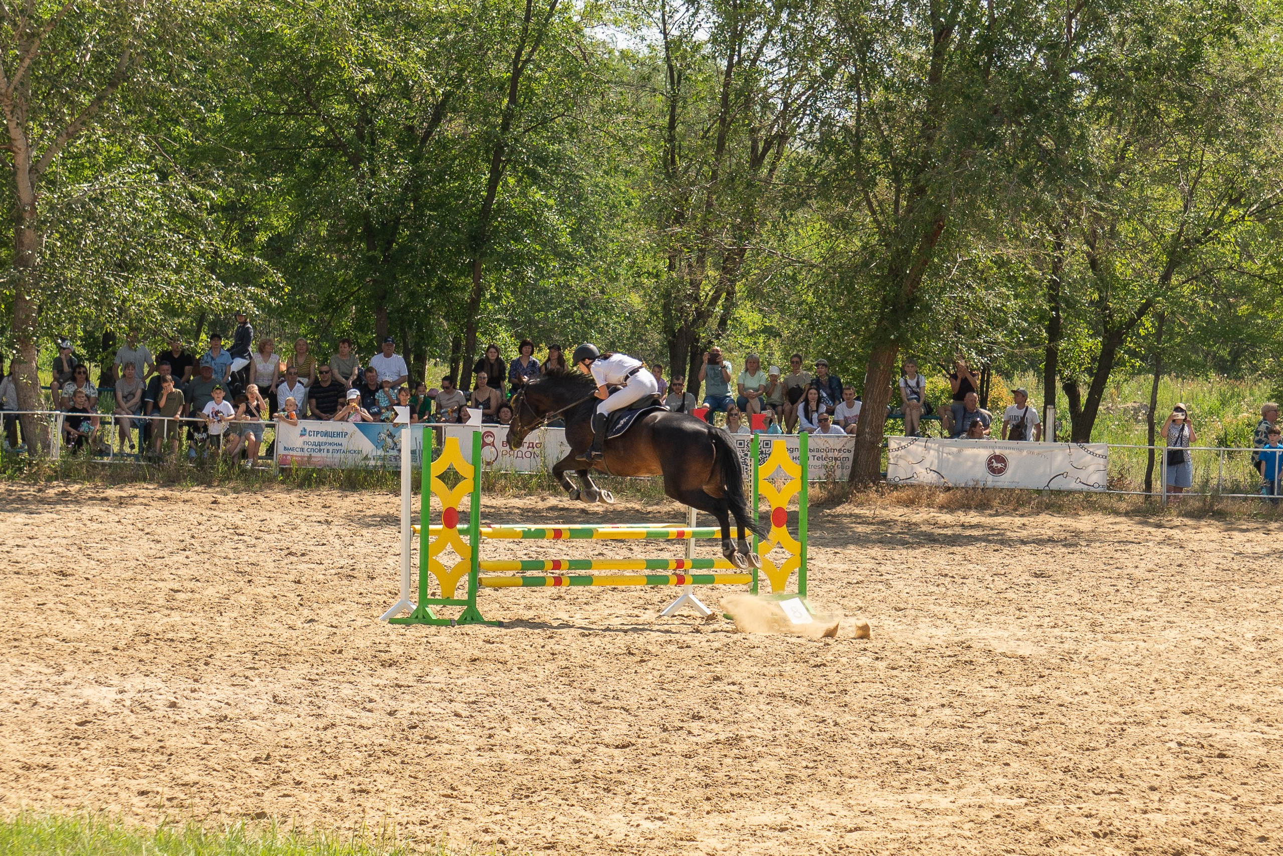 Соревнования по конкуру, Луганск. Фотограф в РФ и ЛНР Юлия Федосеева