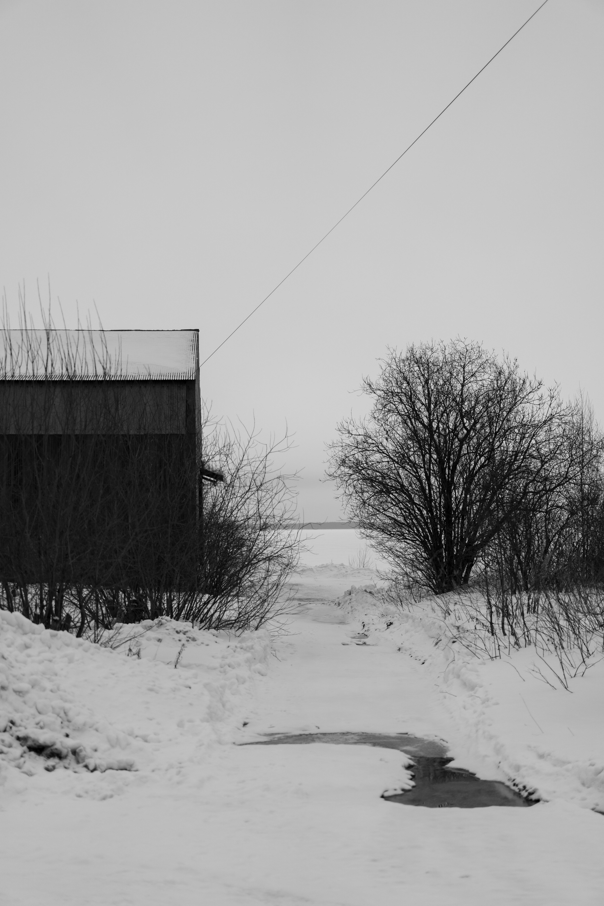 «Дыхание мёртвого леса» 2023  режиссер Евгений Татаров. Ольга Ибатуллина