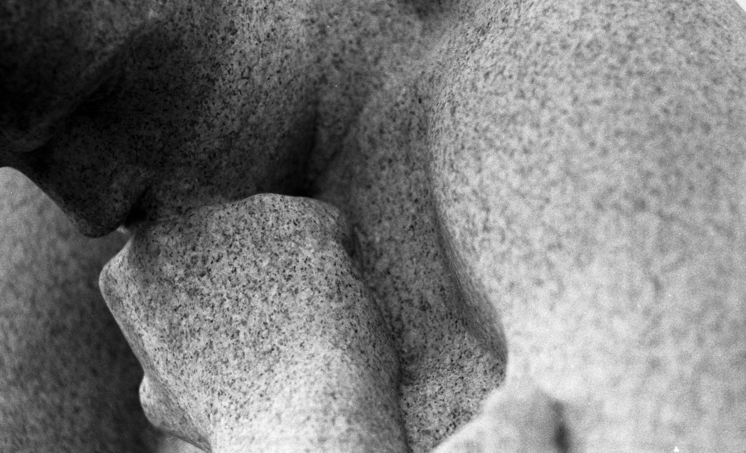 Елена Цихон художник фотографии и мастер фото-ДНК