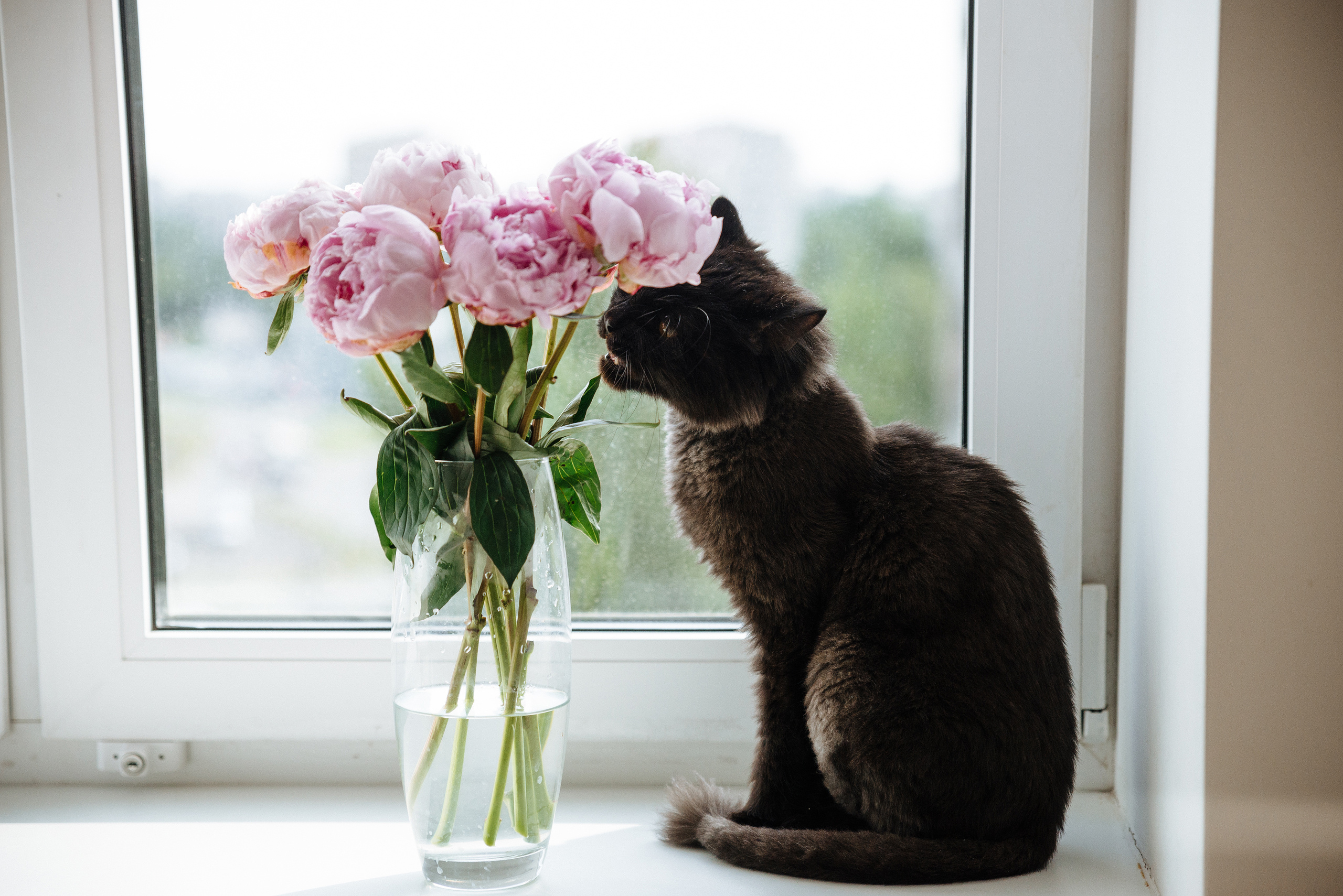 Фотосессия новорожденных дома СПб. Семейный и детский фотограф в Санкт-Петербурге Маша Бичан