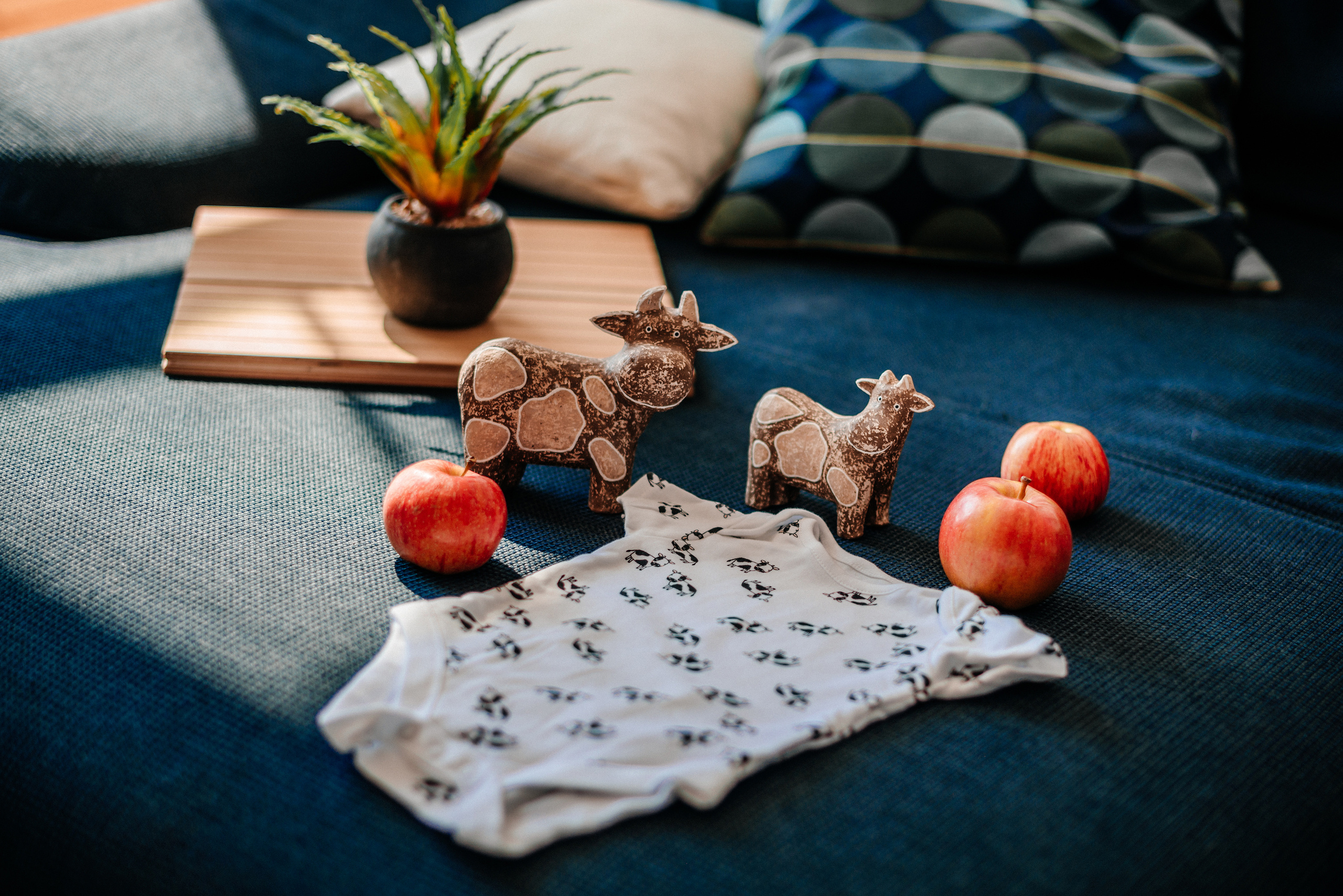 Фотосессия беременности СПб. Семейный и детский фотограф в Санкт-Петербурге Маша Бичан