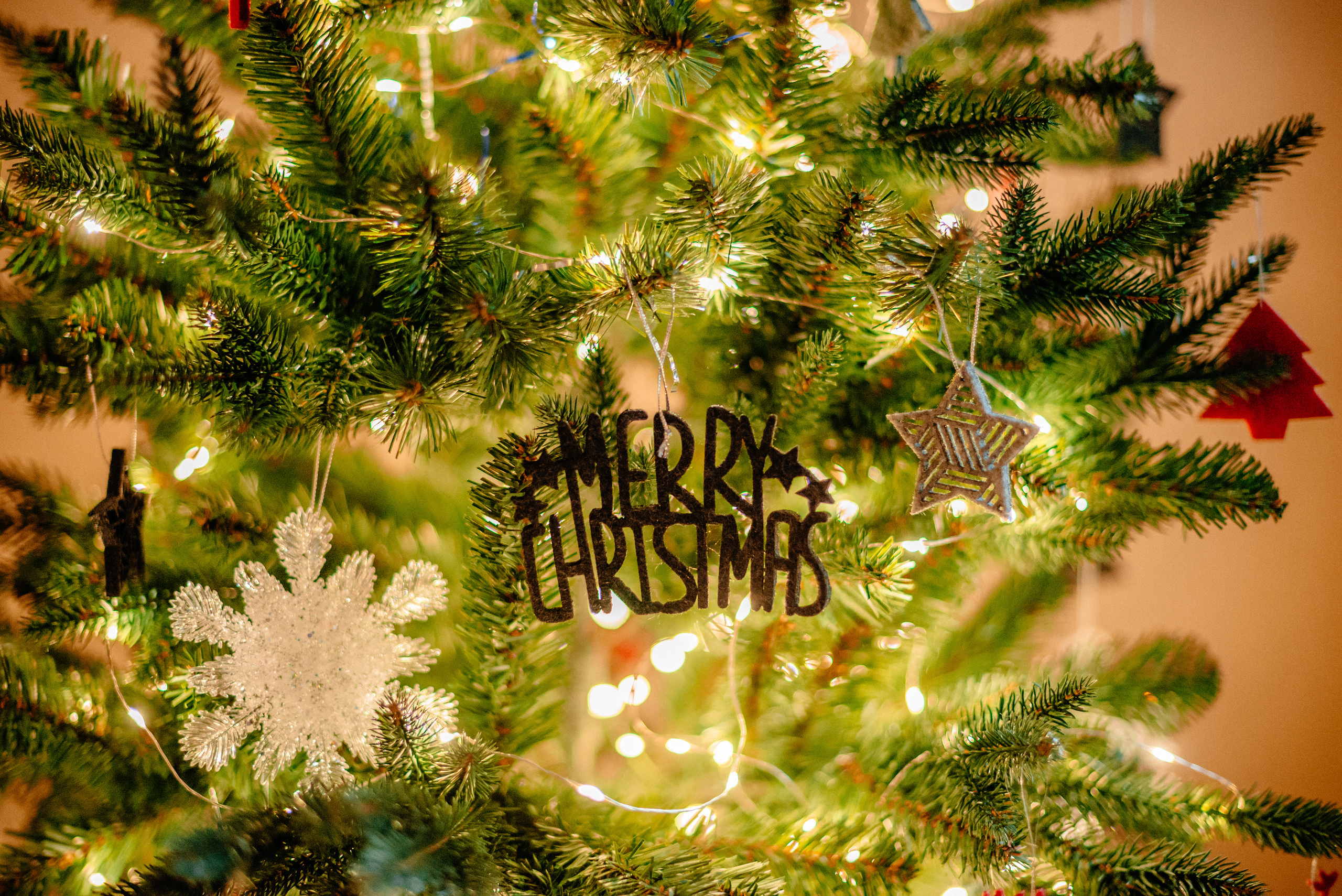 Пока все дома. Семейный и детский фотограф в Санкт-Петербурге Маша Бичан