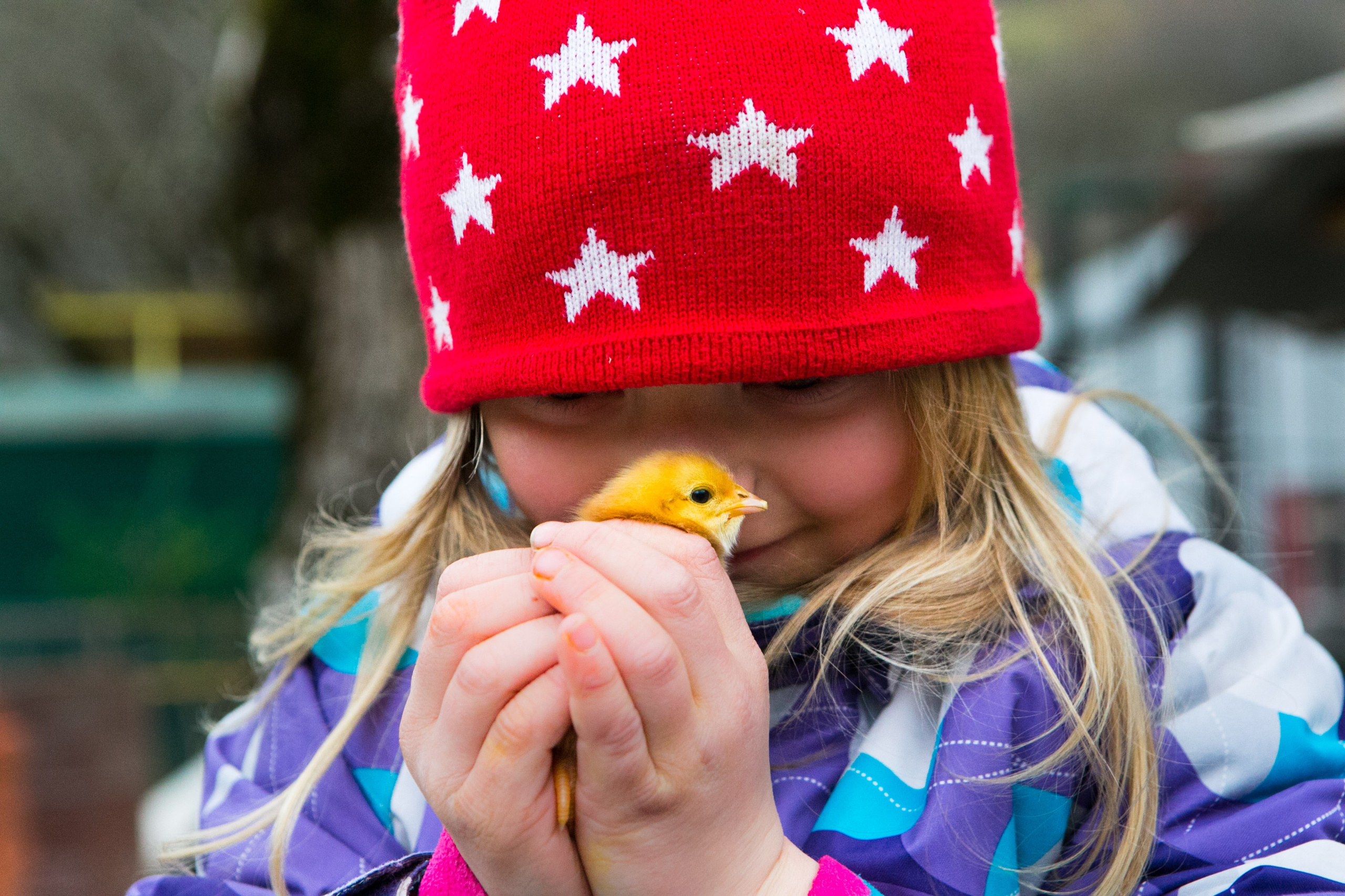 Деревенская еда «Домашние лакомста». Фотограф Красная Поляна — Сочи — Москва
