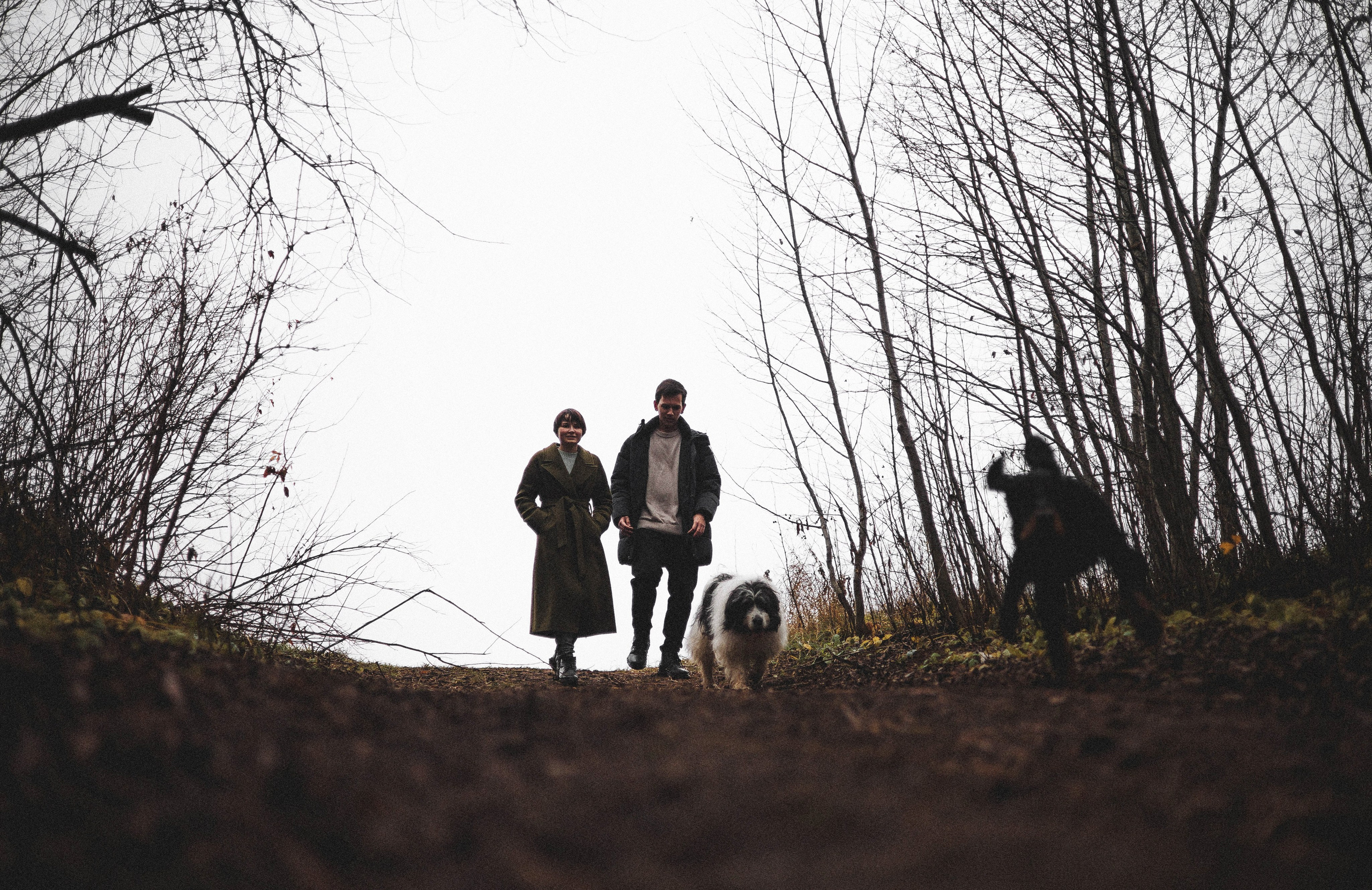 Даша, Глеб, Барс и Бруно. Фотограф-анималист Богданова Полина