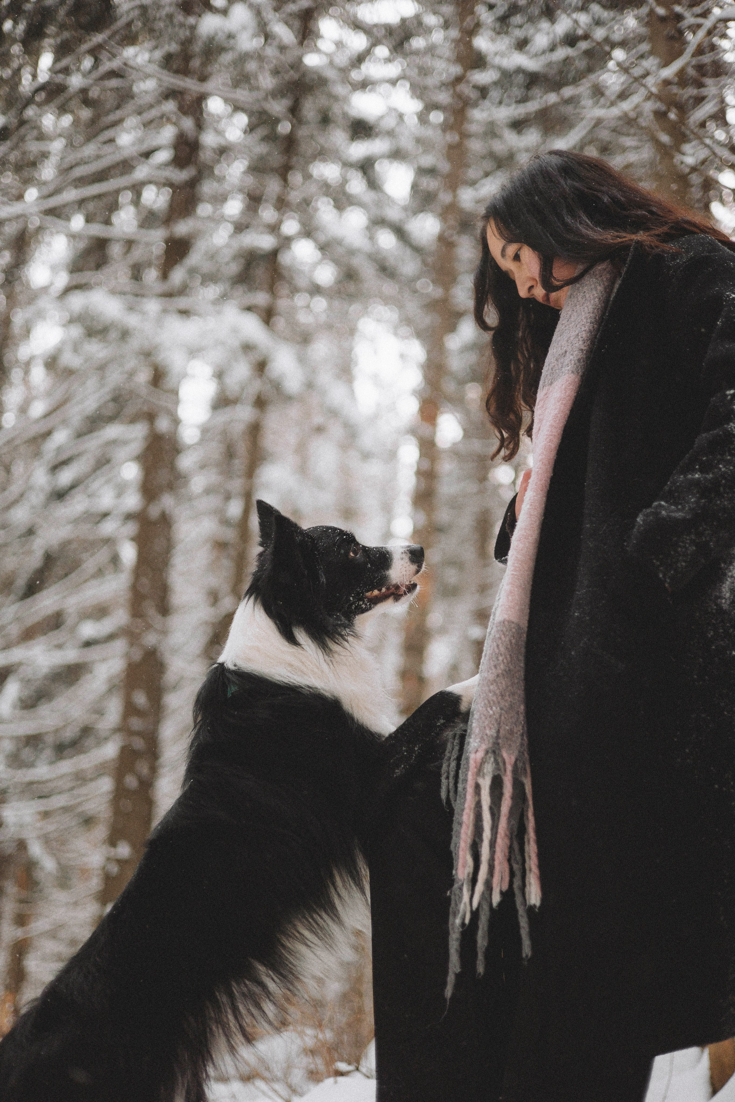 Алина и Найт. Фотограф-анималист Богданова Полина