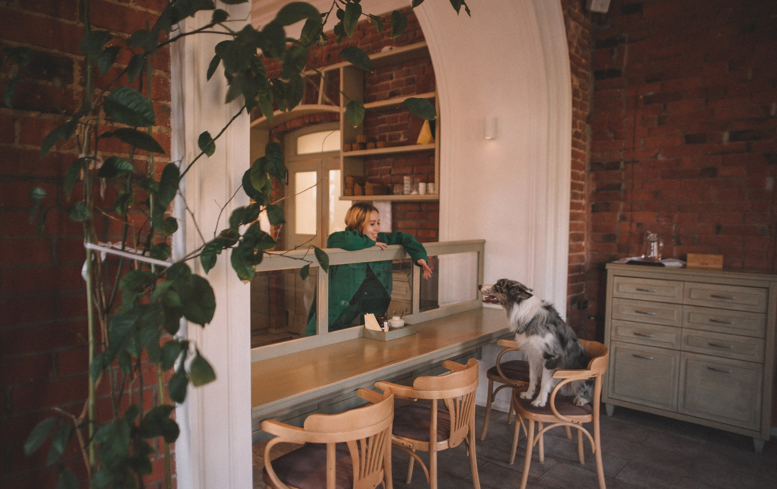 Диана и Робин. Фотограф-анималист Богданова Полина