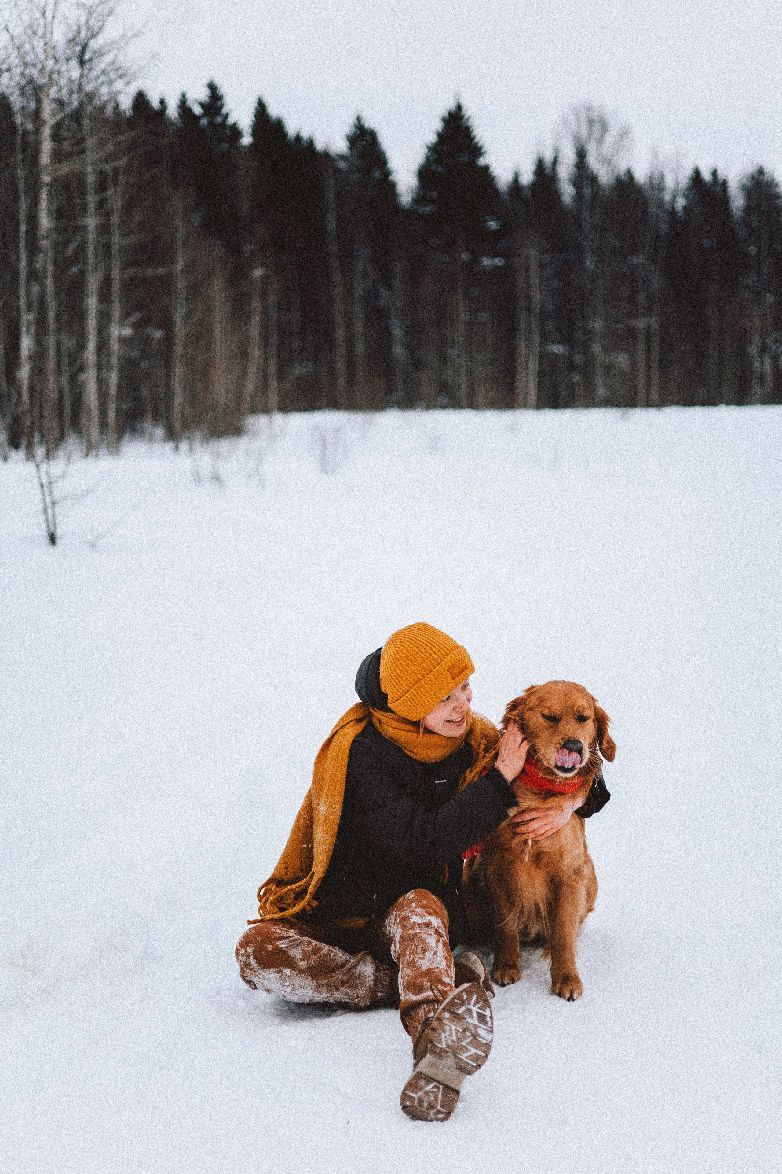 Саша, Юля, Грэй и Джой. Фотограф-анималист Богданова Полина