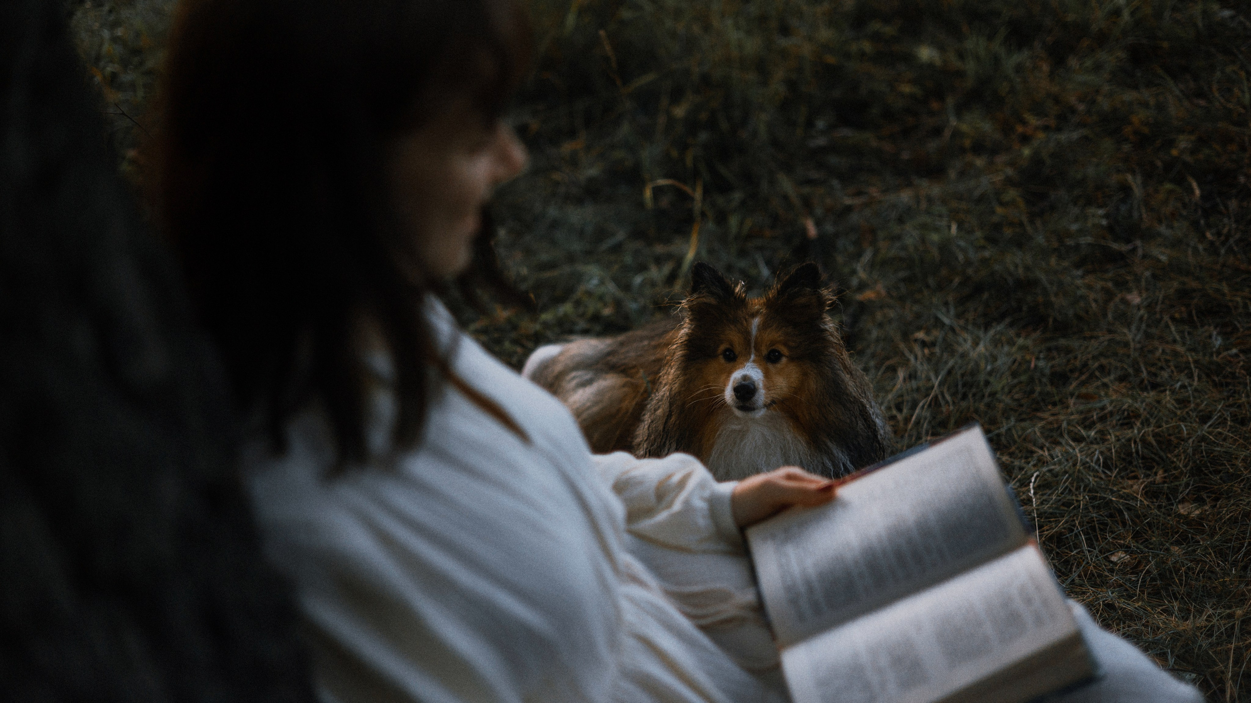 Аня и Скай. Фотограф-анималист Богданова Полина