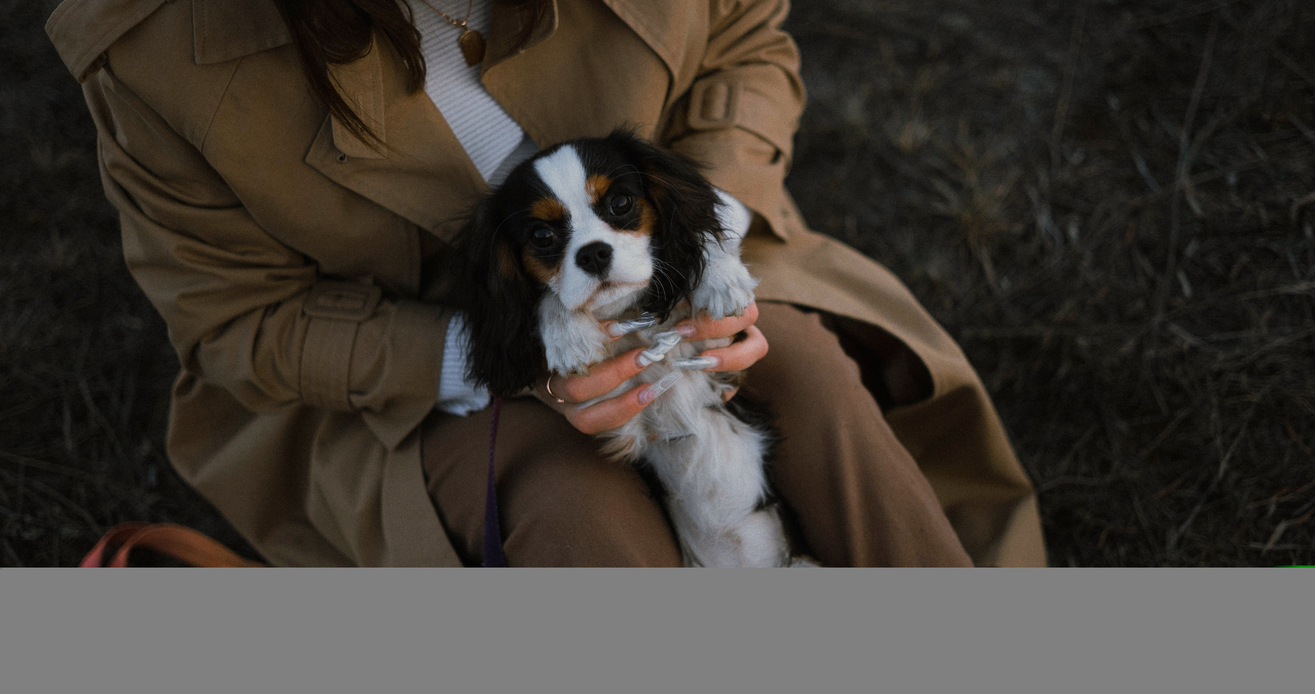 Ангелина и Йен. Фотограф-анималист Богданова Полина