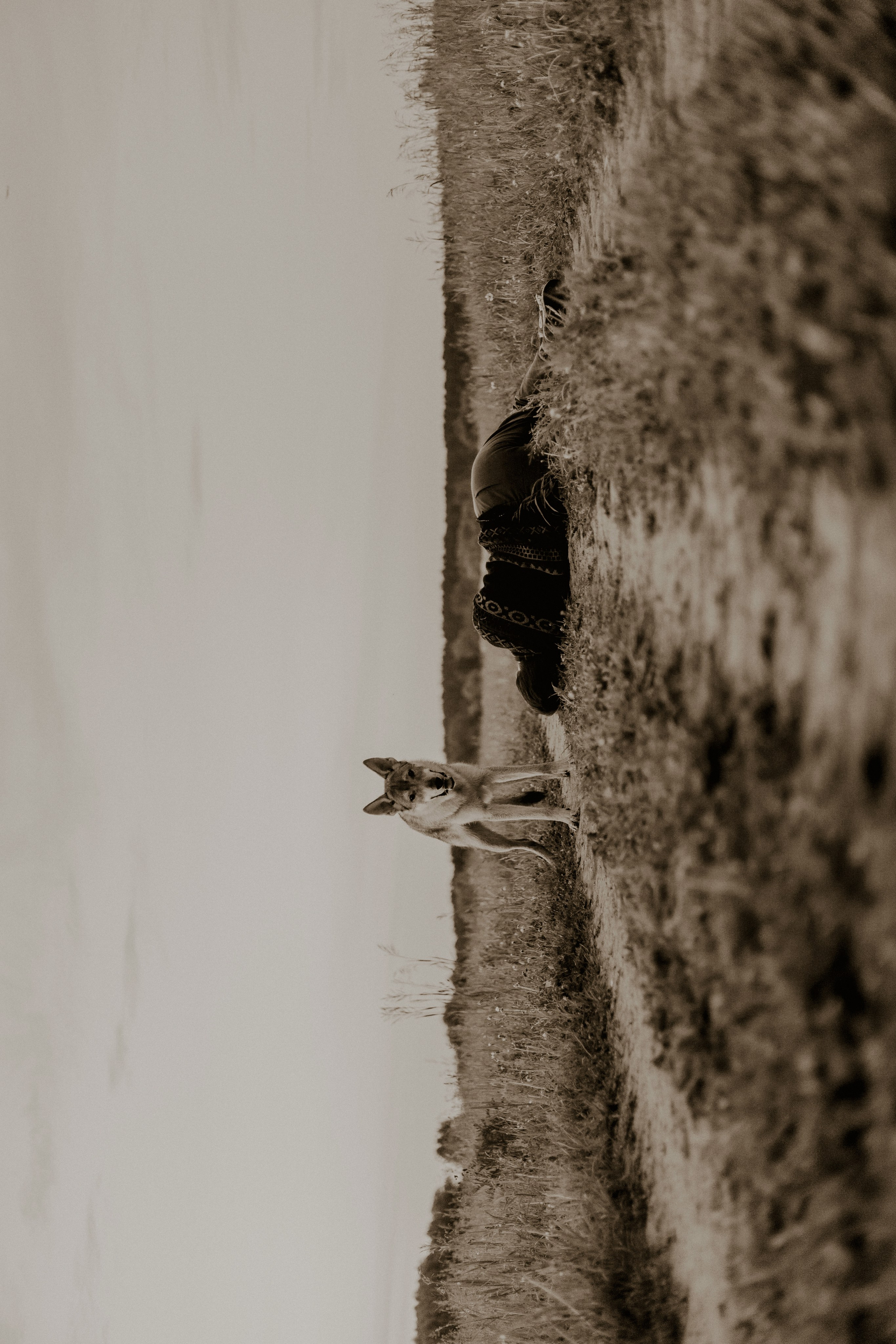 Маша и Дэрил. Фотограф-анималист Богданова Полина