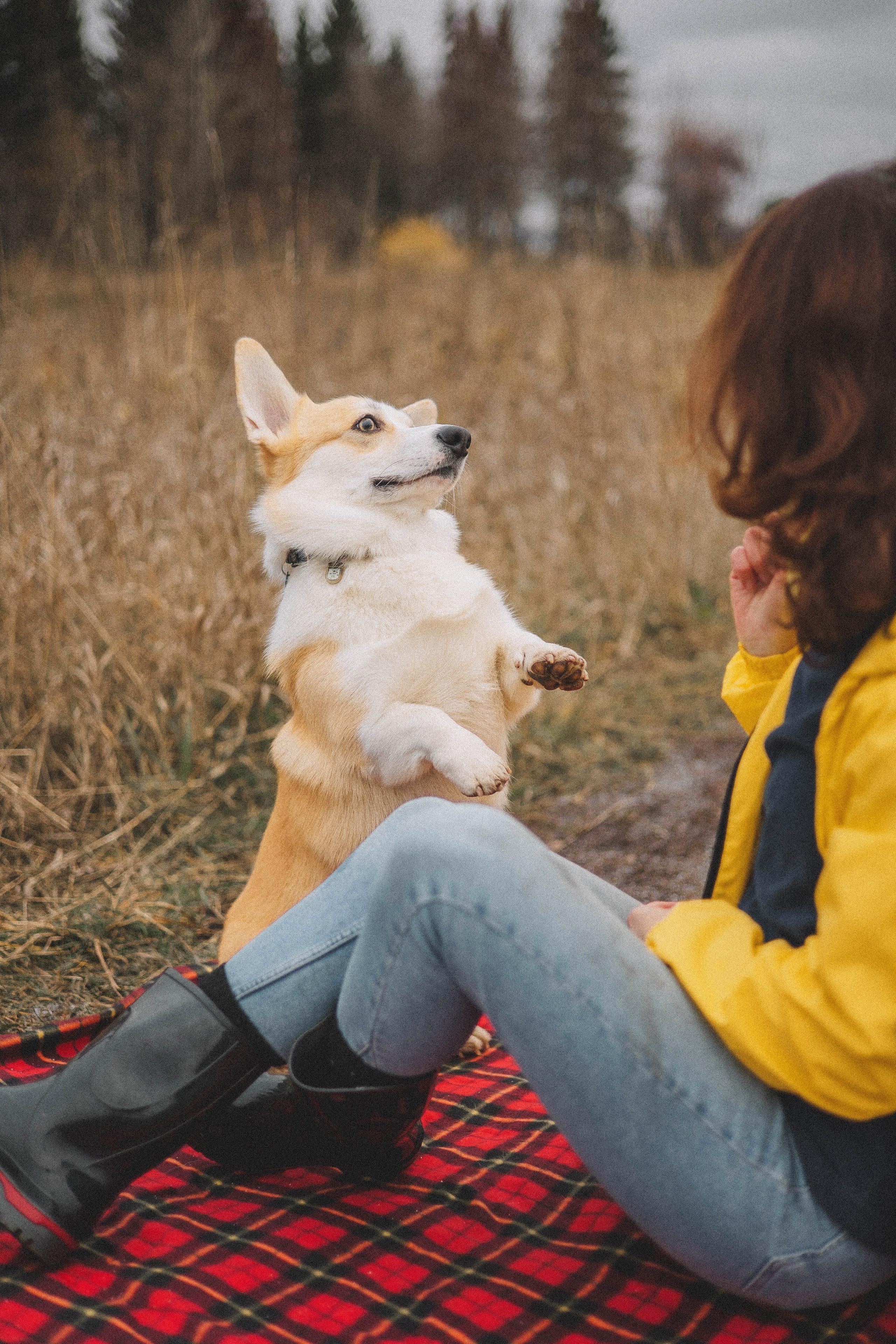 Юля и барри. Фотограф-анималист Богданова Полина