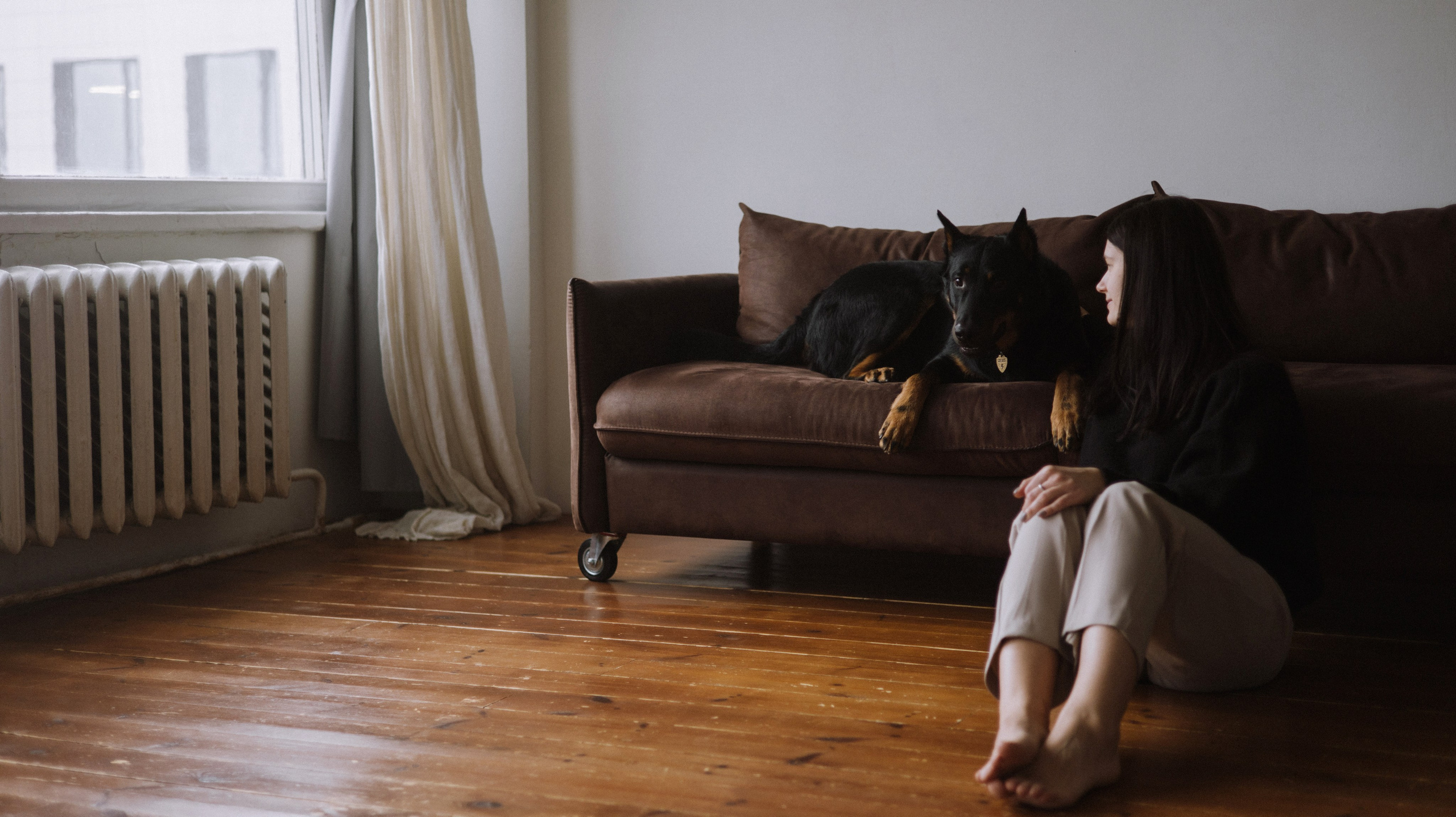 Полина и Зевс. Фотограф-анималист Богданова Полина