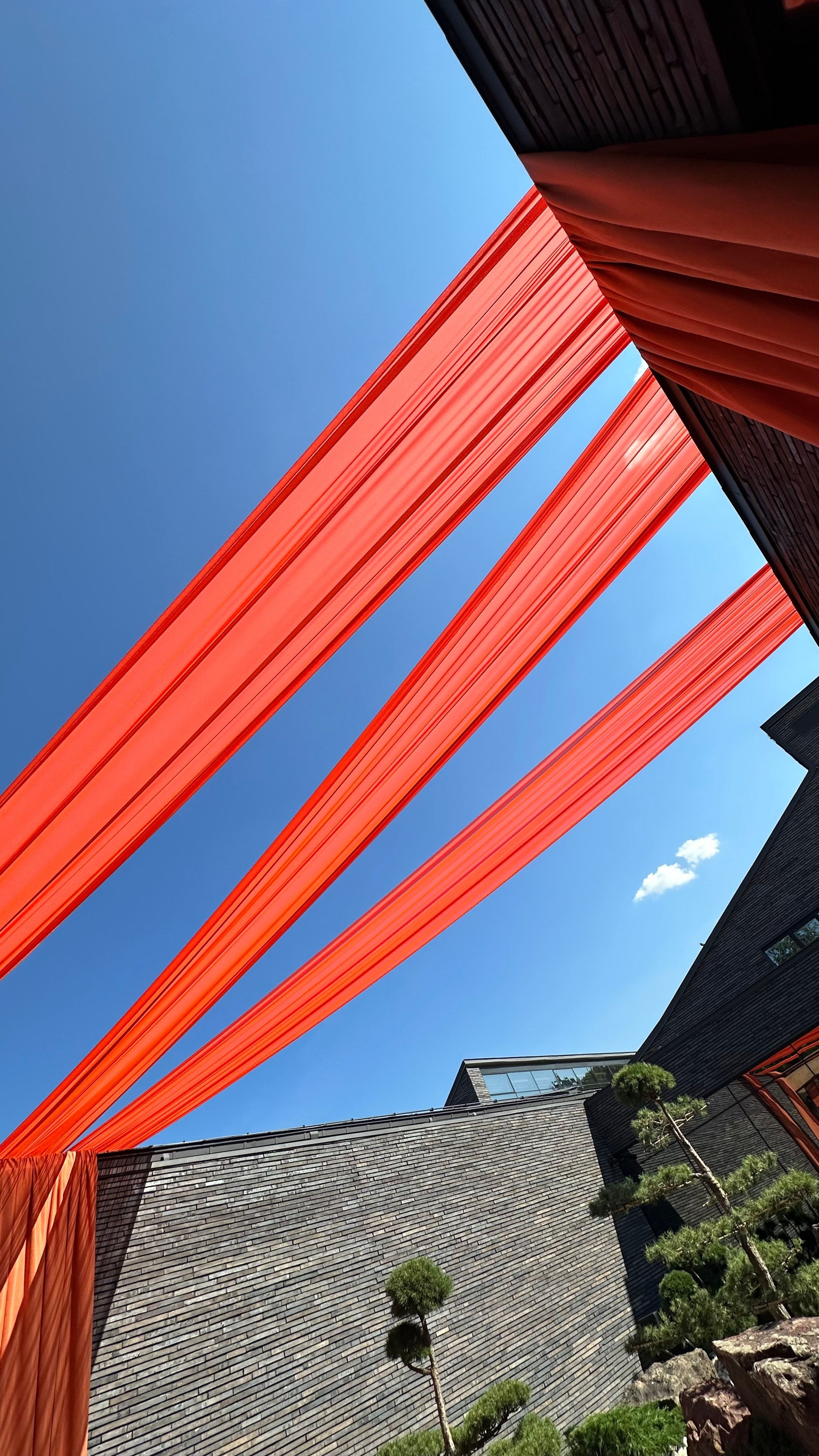 JAPAN | 25.07.2025 | г. Москва, Лужники. МашаШарики | Декоратор | Москва