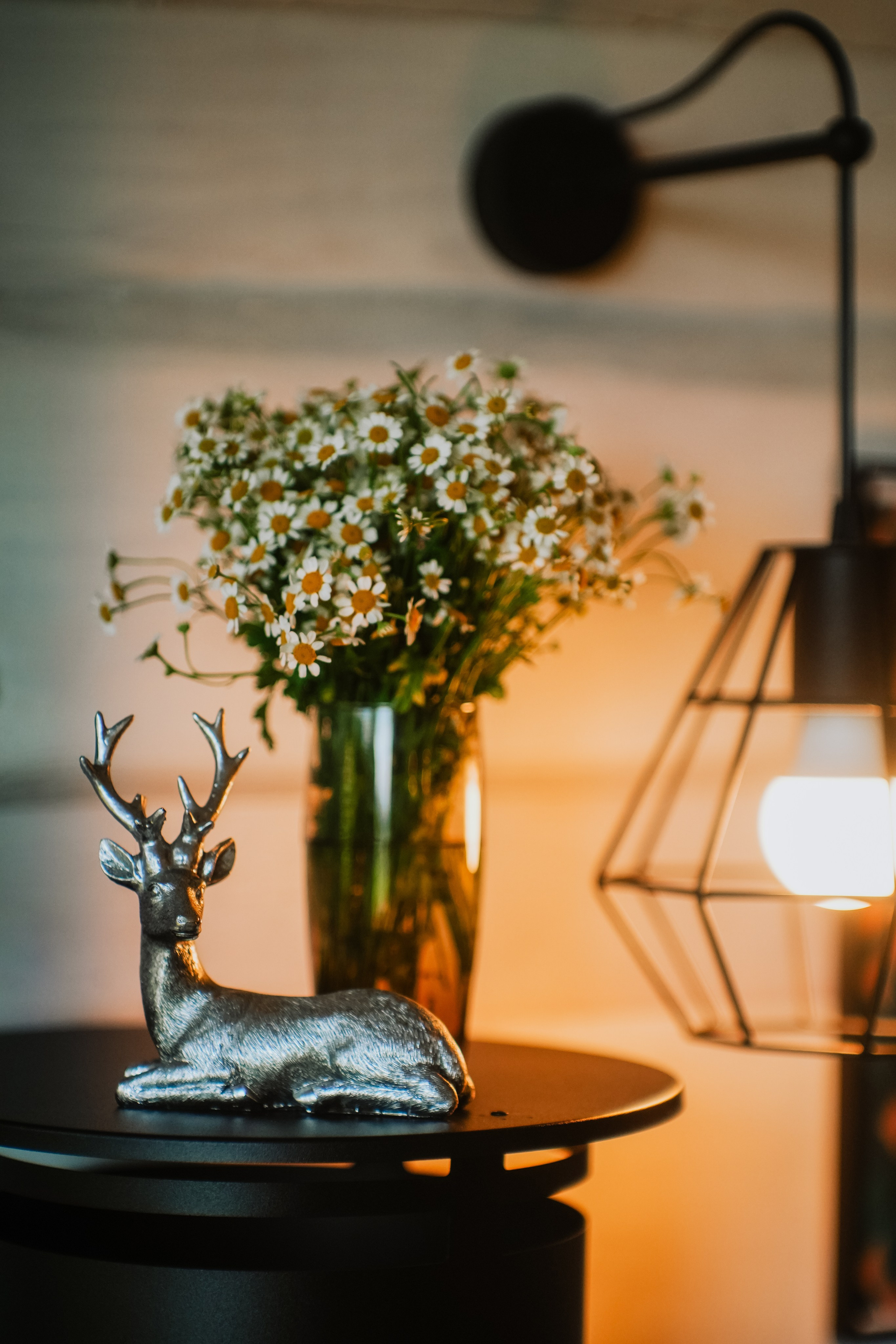 Нахазо ✽ Июль. Репортажный фотограф | Роза Хутор Красная Поляна Сочи Сириус