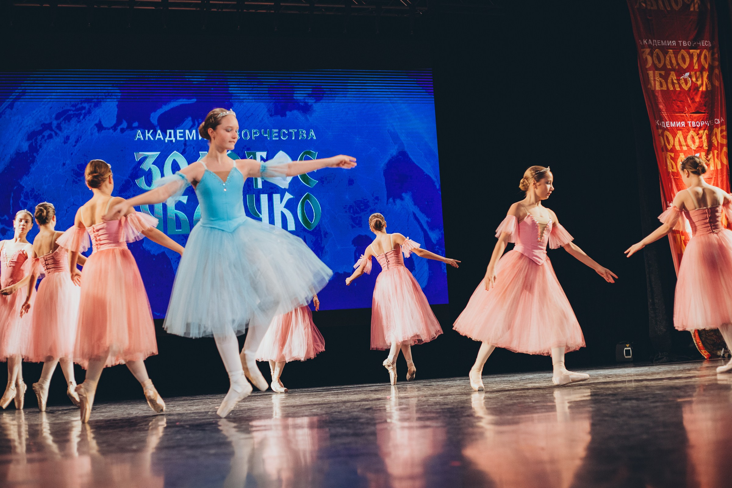 9 ноября, г. Екатеринбург. Золотое яблочко