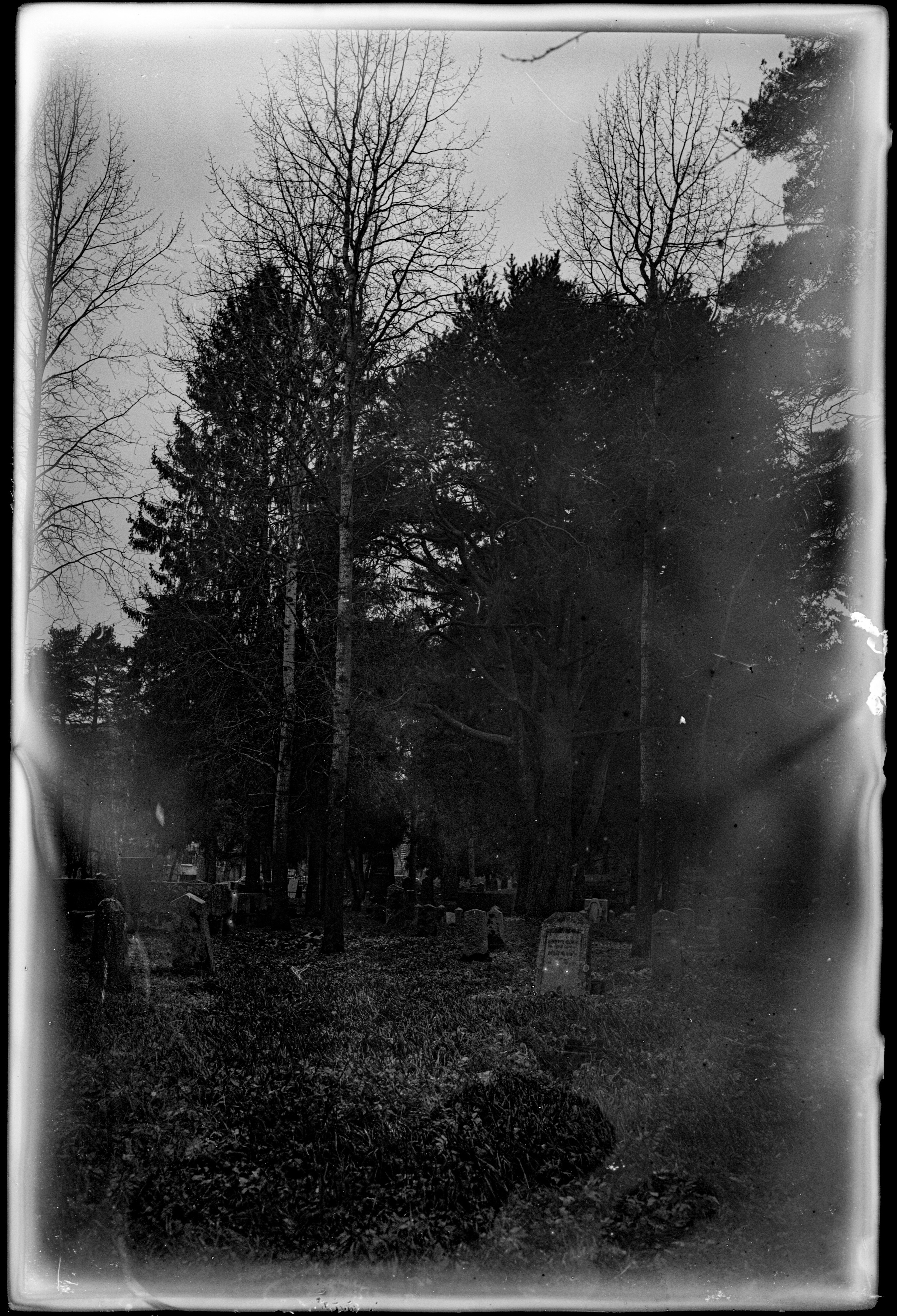 Glass plates. Darkroom aesthetics