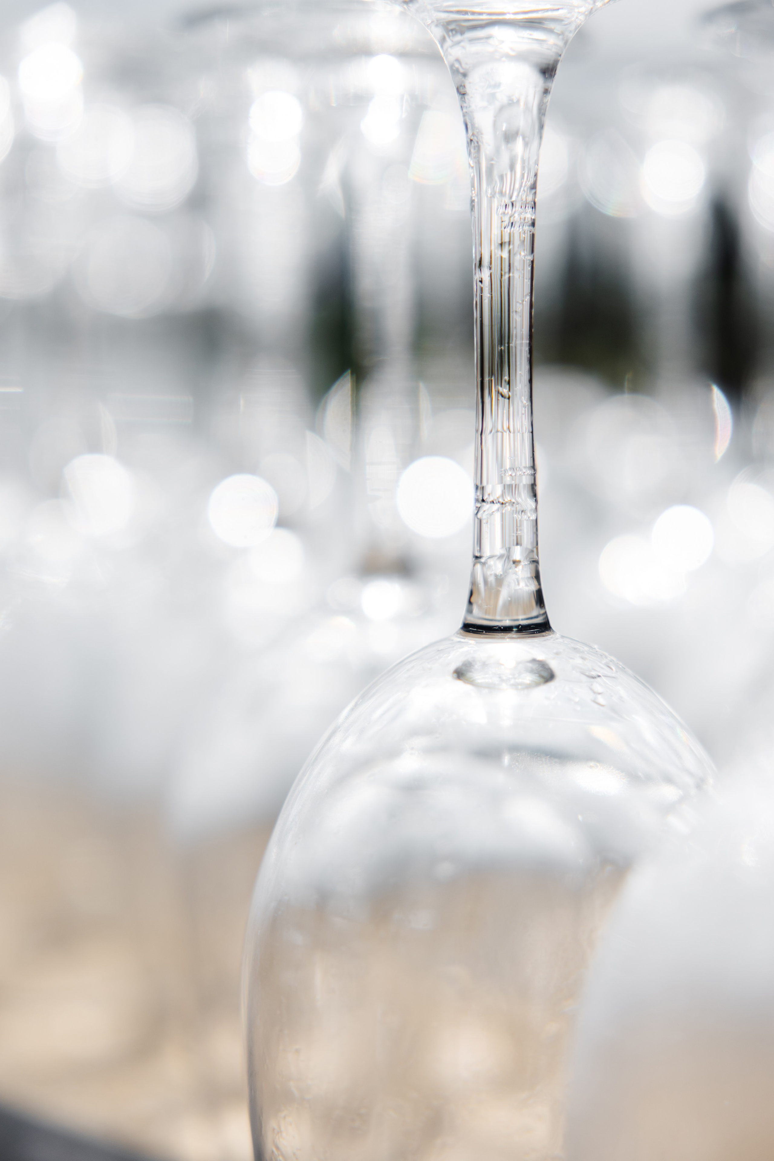 ГЕНДЕР ПАТИ. Фотограф в Красноярске