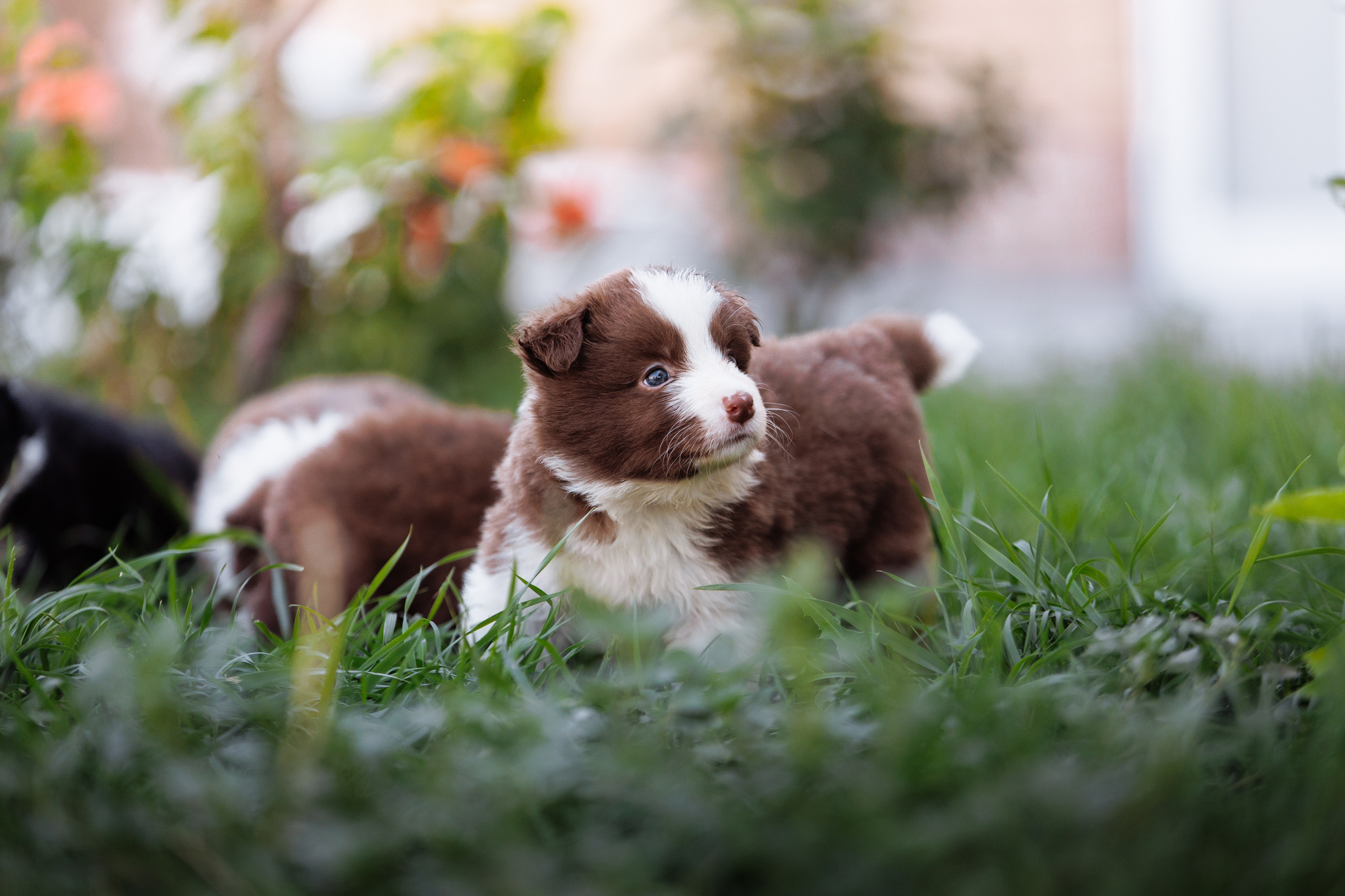 МММ — маленькое мягкое милое. О нас