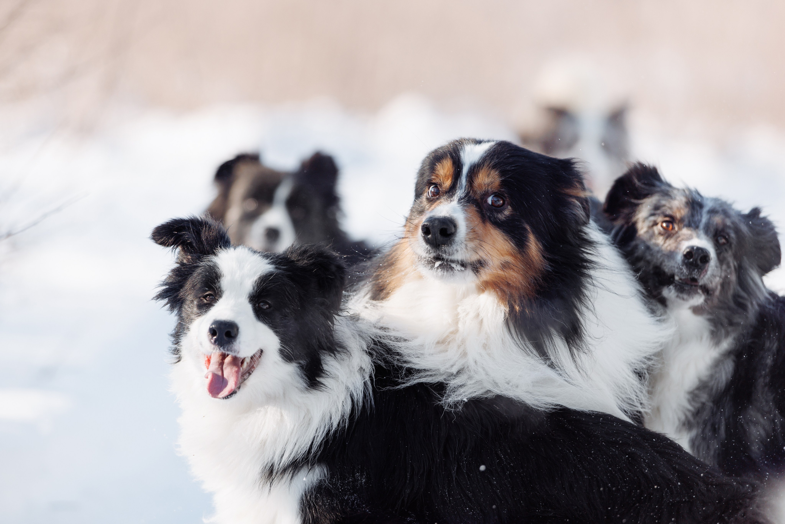 Яркий январь. О нас