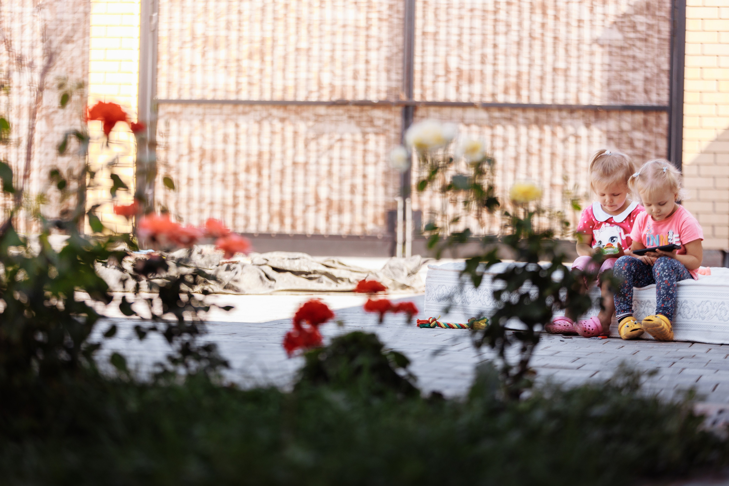 МММ — маленькое мягкое милое. О нас