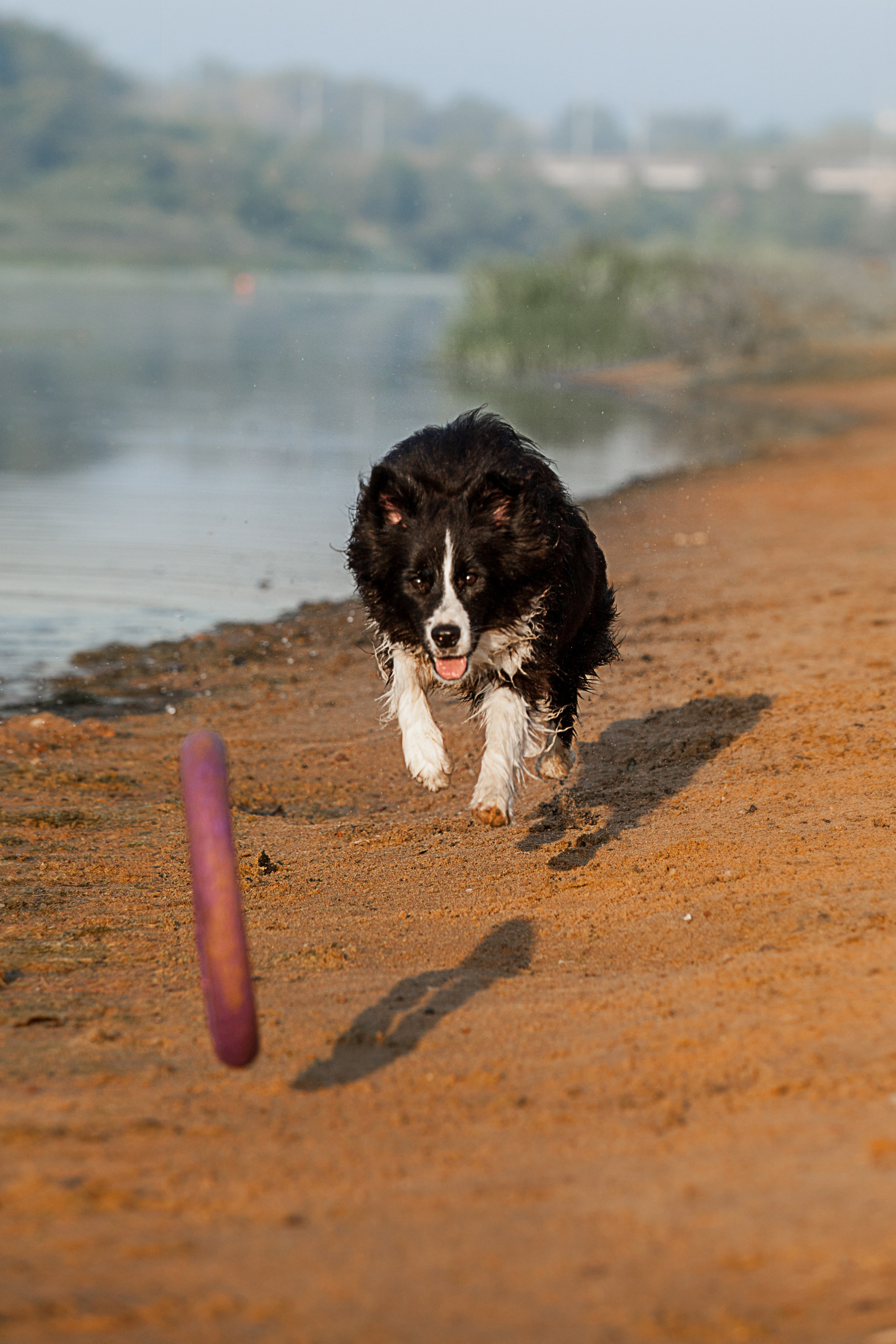 Сочный рассвет, на который решились. О нас