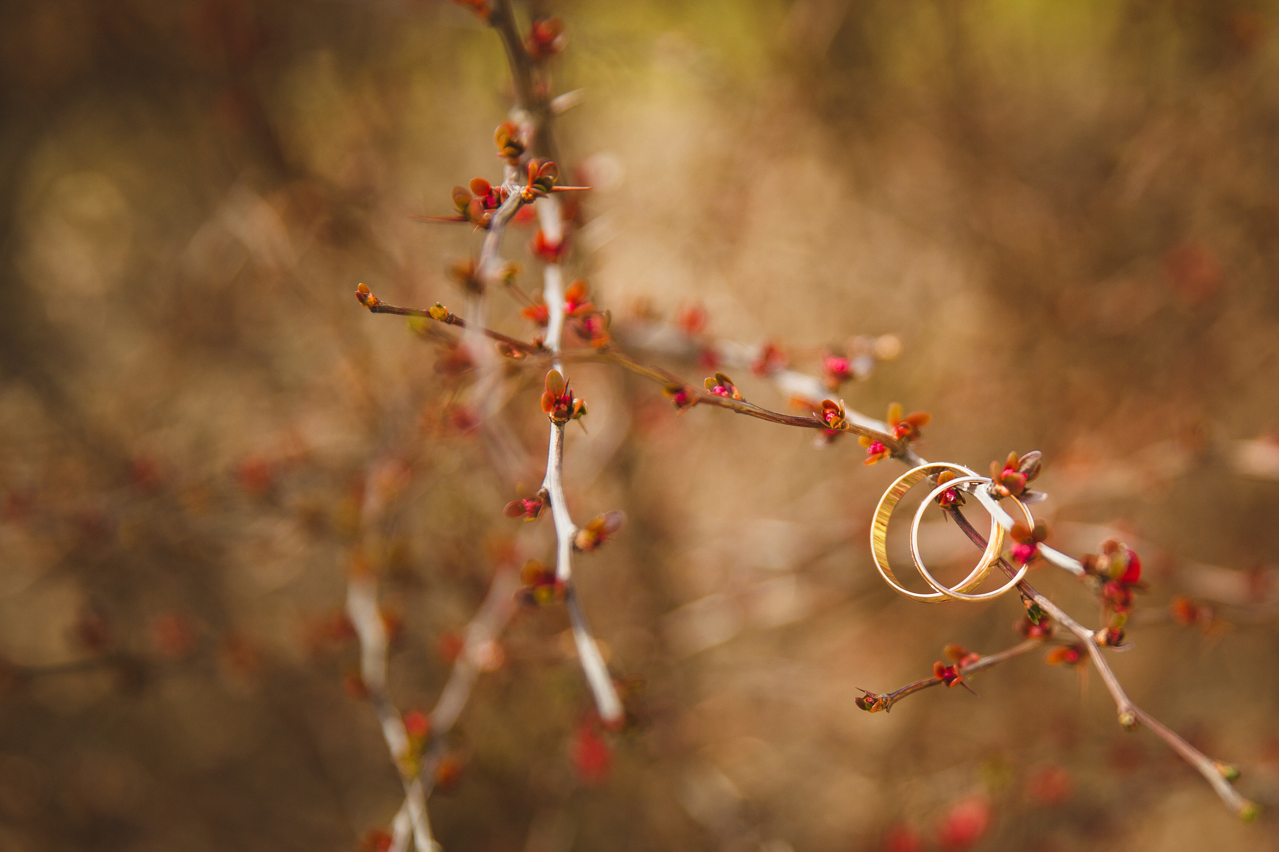 Свадебная фотосъёмка весной в Санкт-Петербурге. Семейный фотограф, свадебный фотограф, женский портрет в Санкт-Петербу