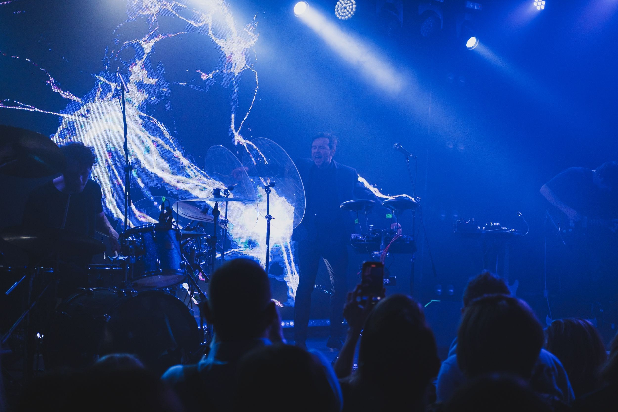 Дельфин. Репортажный фотограф Алексей Пирязев
