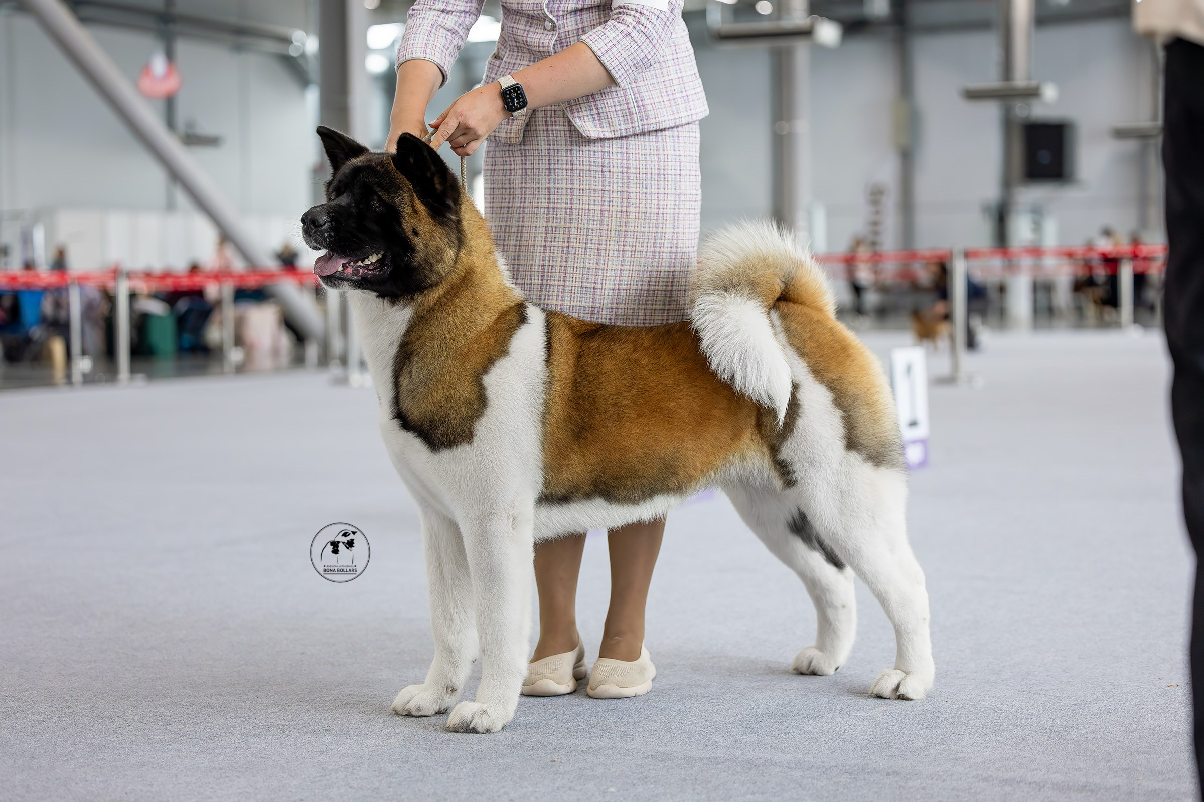 22 июня 2025, Выставка РКФ, г. Казань. Htykk_photo