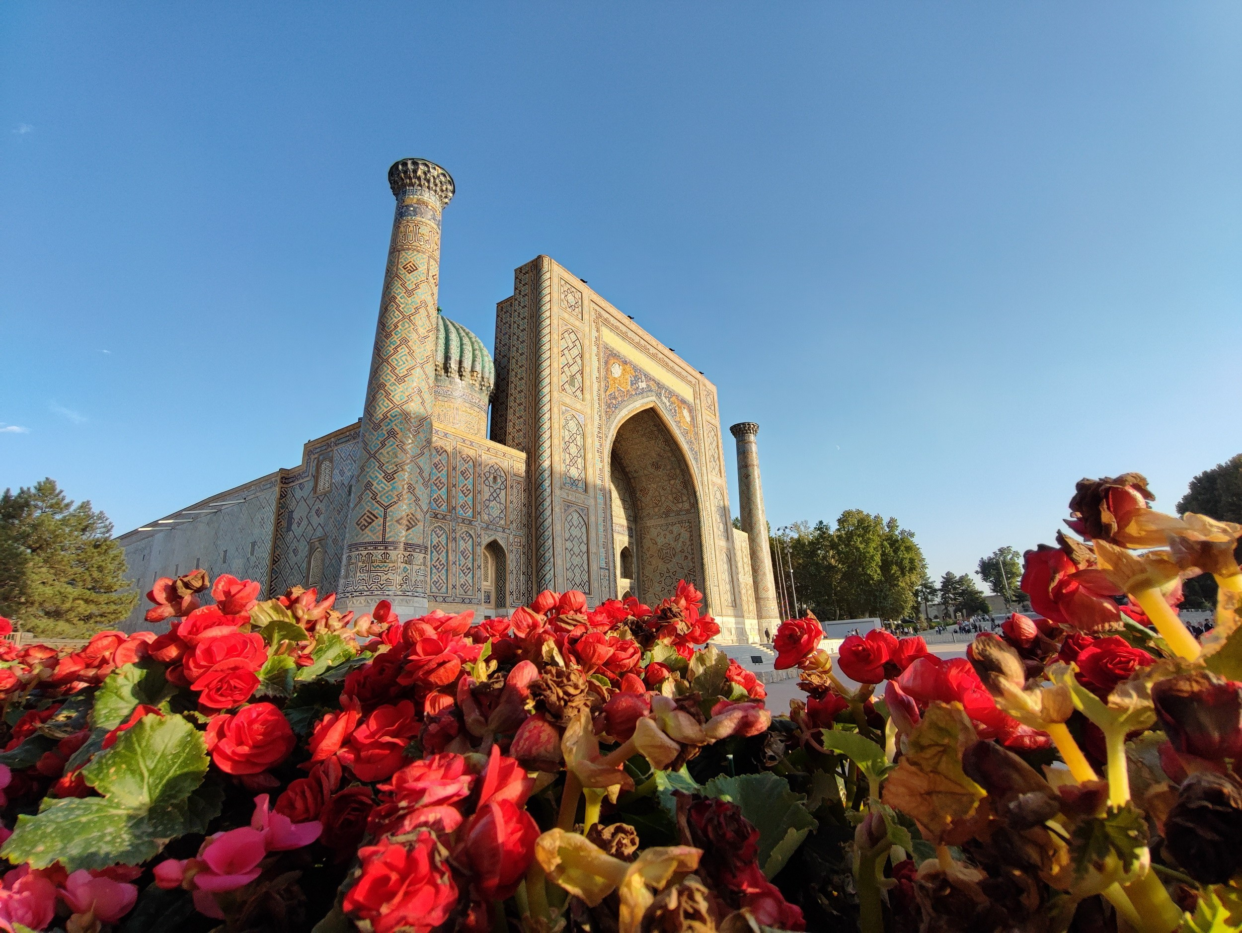 Намобилкус узбекский. Репортажный фотограф Алексей Пирязев