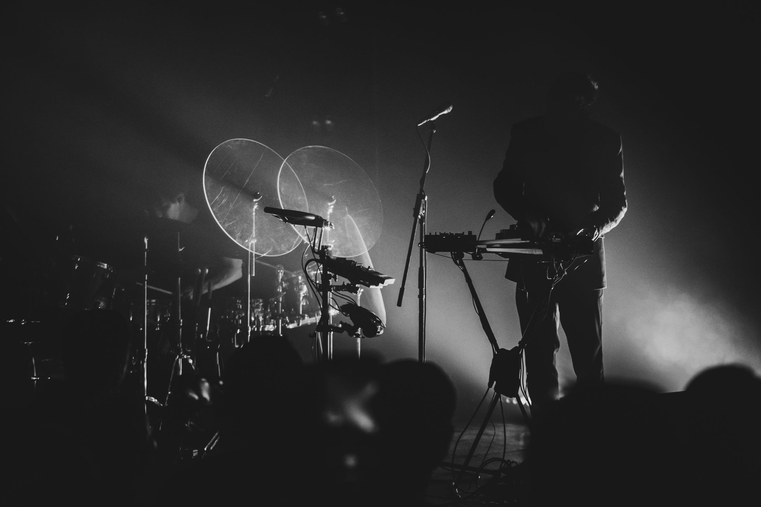 Дельфин. Репортажный фотограф Алексей Пирязев