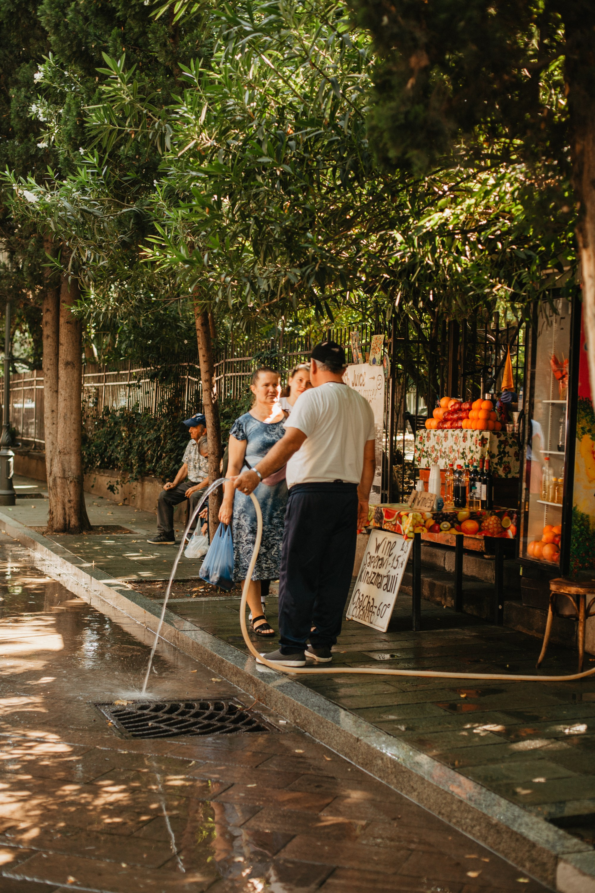 Грузинские каникулы. Violetta Skripka